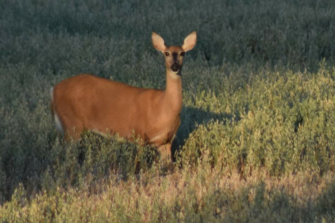 Valokuvaaja: Sonja Nokkala