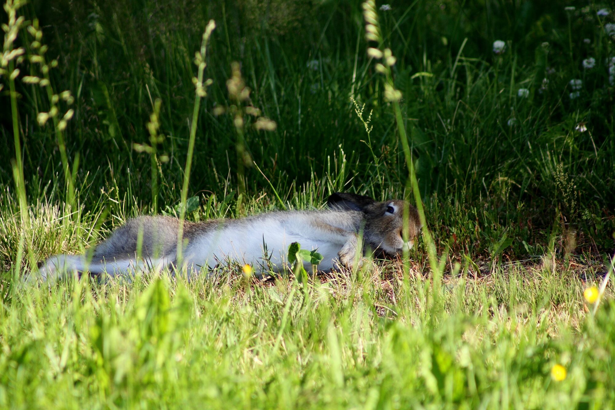 Valokuvaaja: Pirkko Siukonen