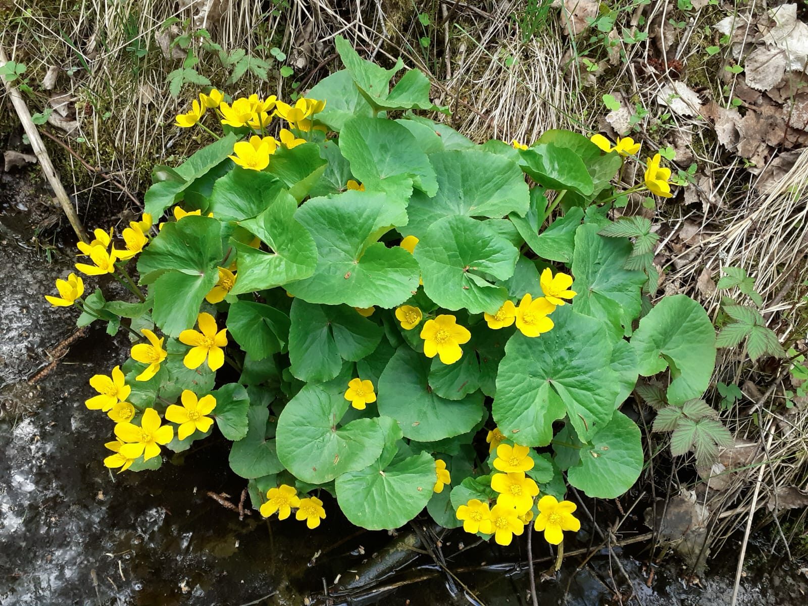 Valokuvaaja: Maarit Pietiläinen