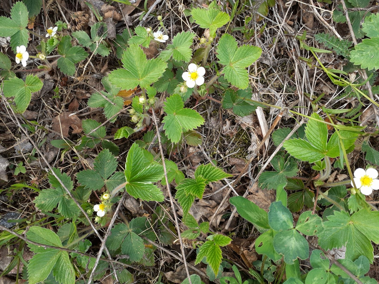 Valokuvaaja: Maarit Pietiläinen