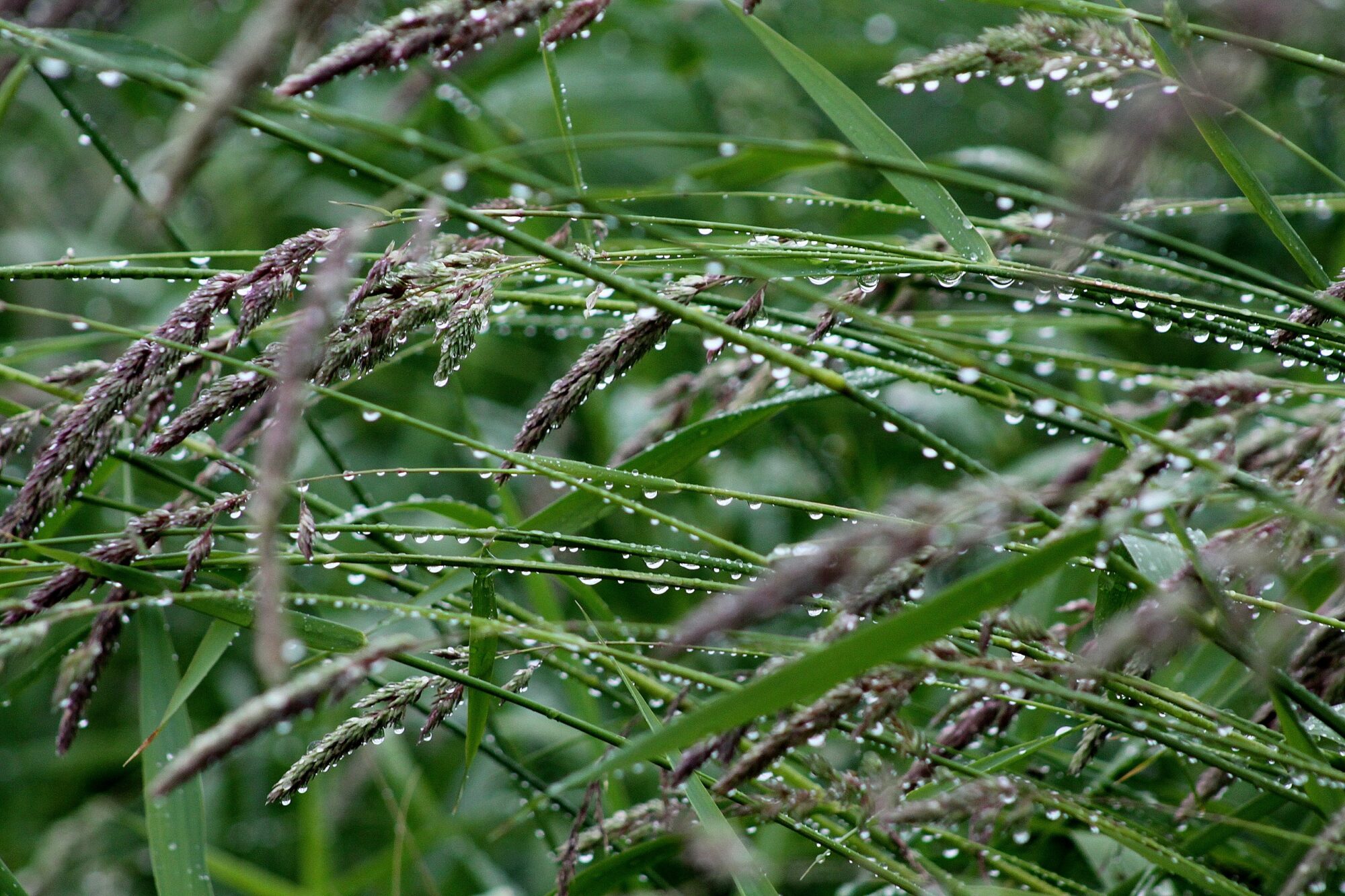 Valokuvaaja: Pirkko Siukonen