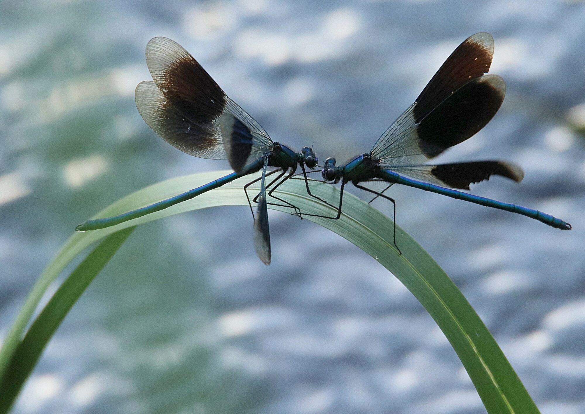 Valokuvaaja: Irja Lehtinen