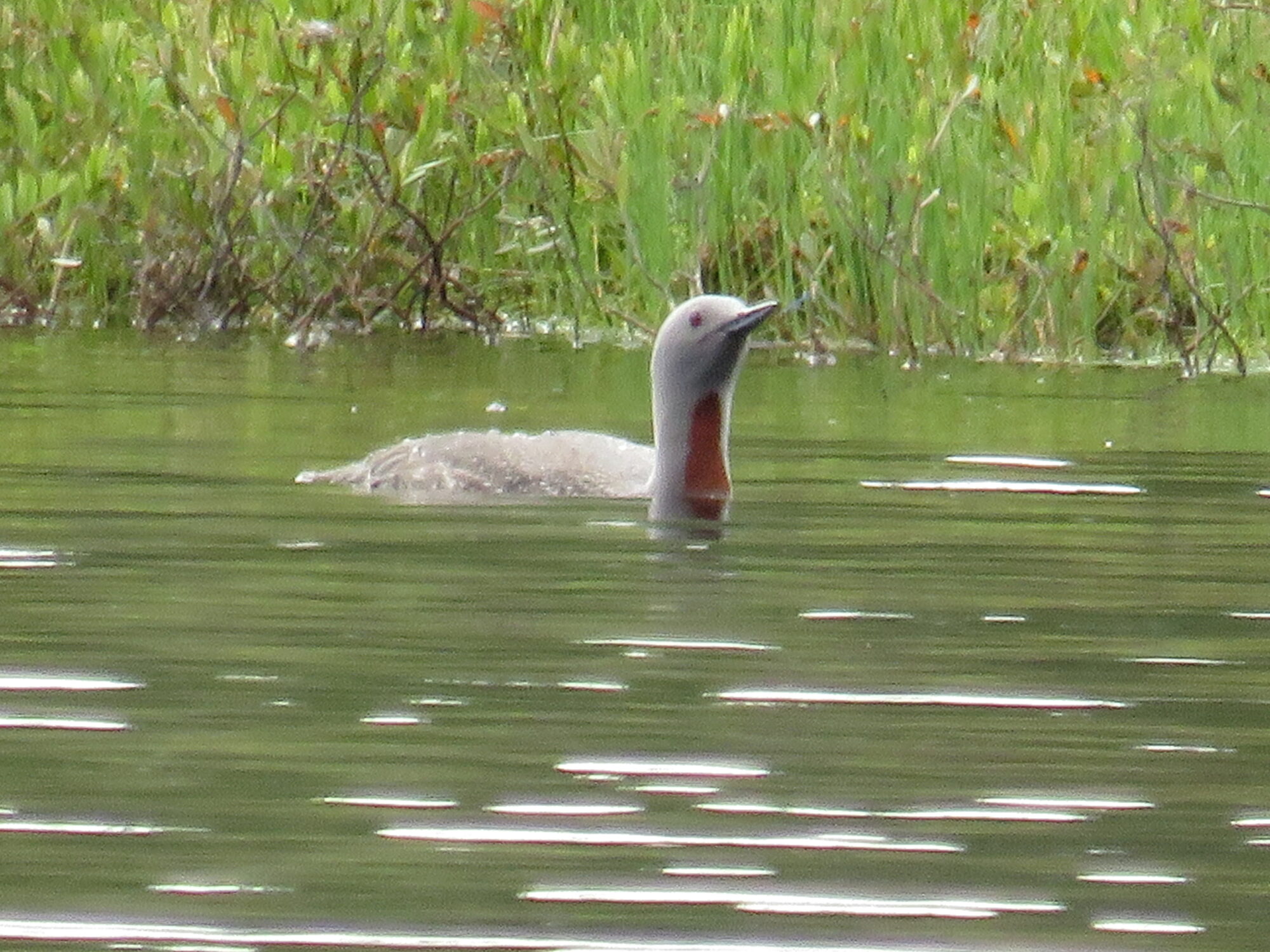 Valokuvaaja: Sirkka Ruotoistenmäki
