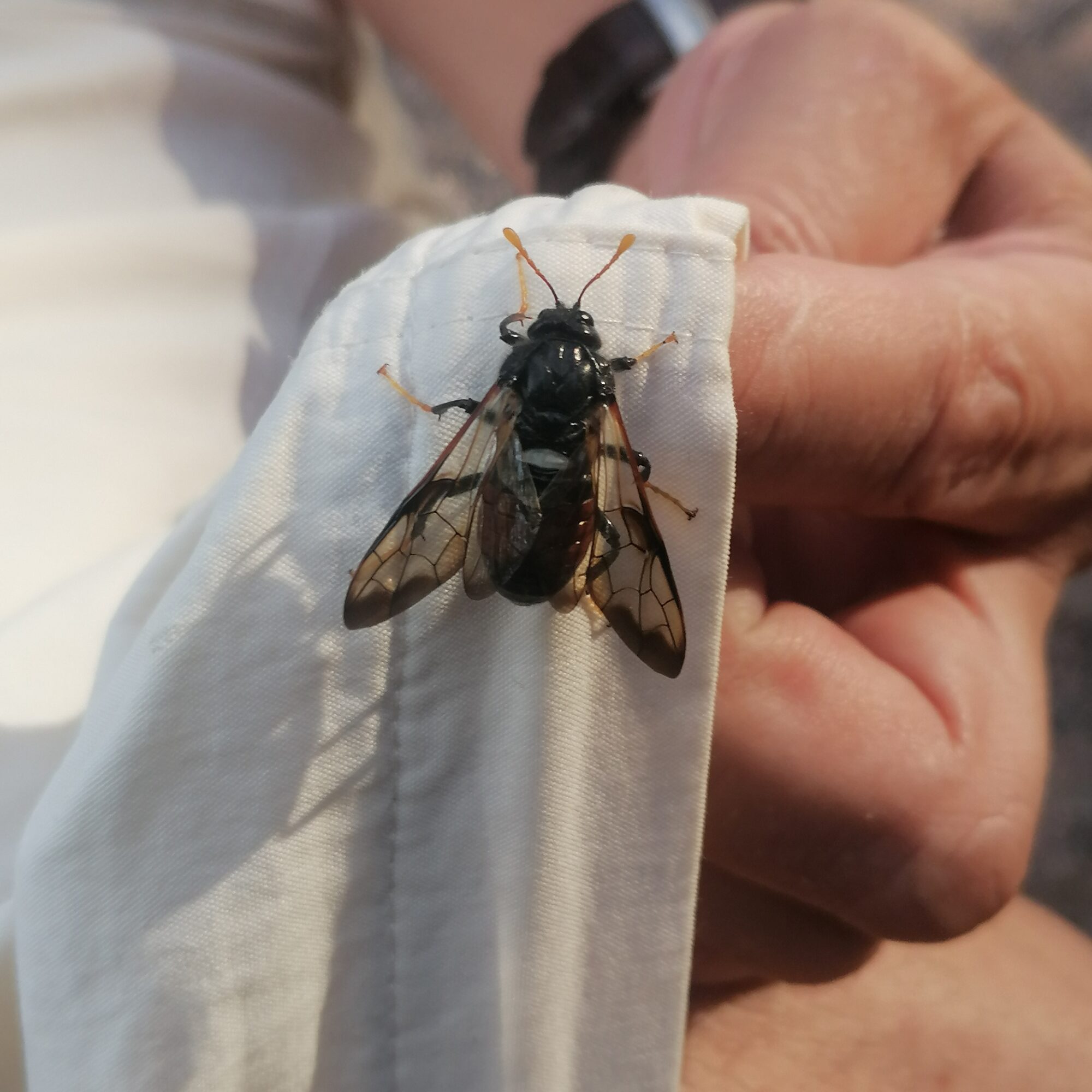 Valokuvaaja: Marianna Aho