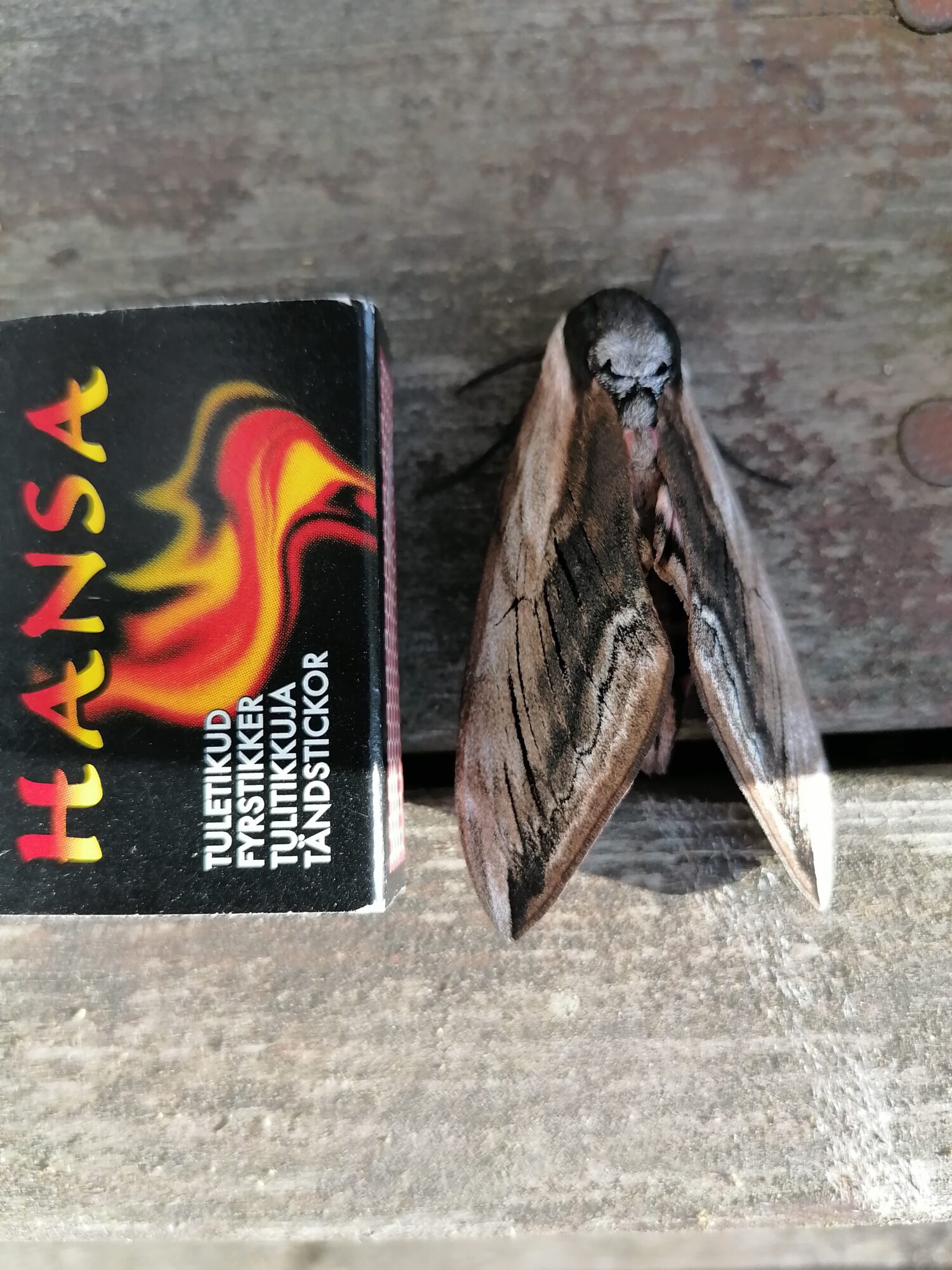 Valokuvaaja: Tommi Kuittinen