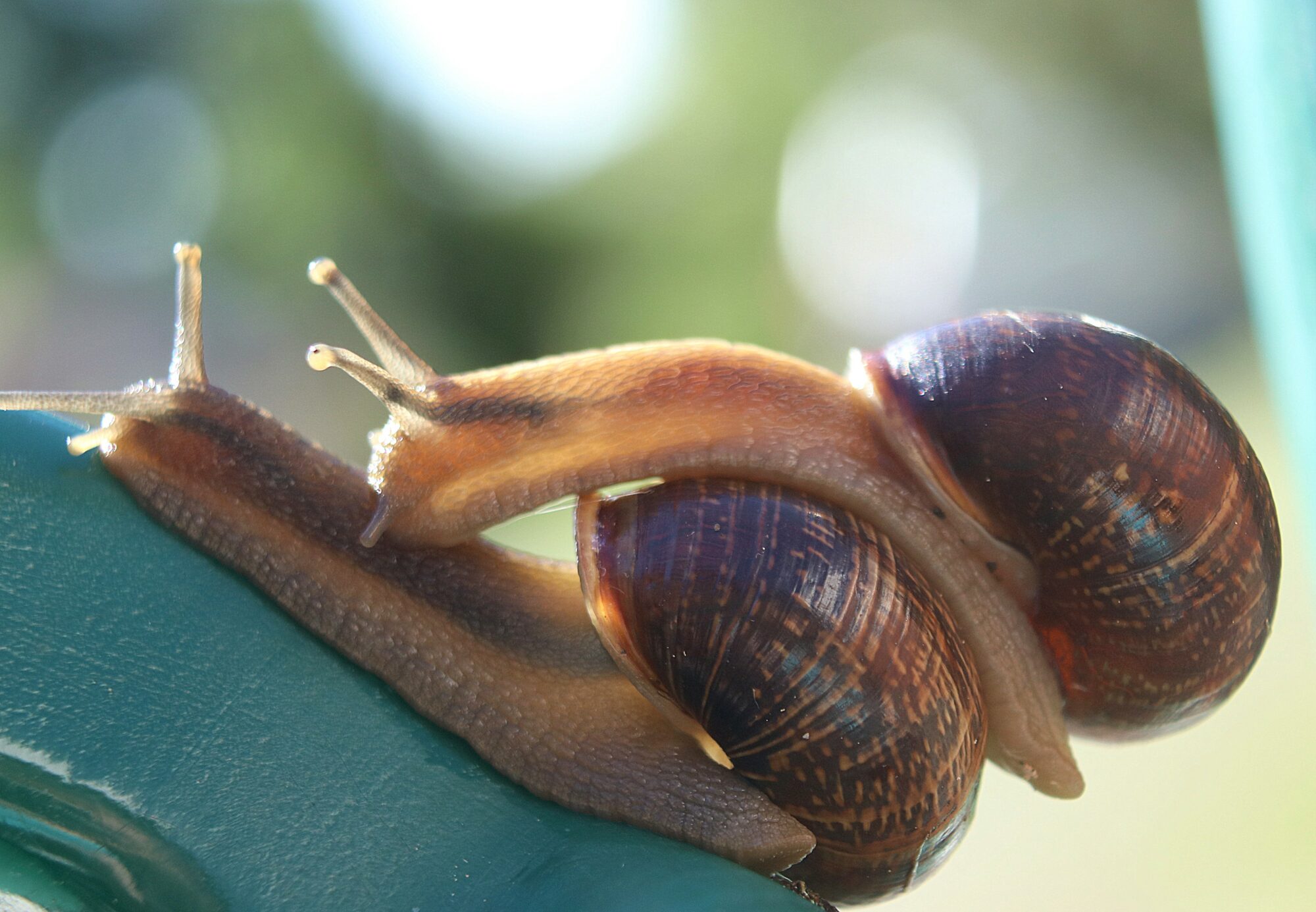 Valokuvaaja: Irja Lehtinen