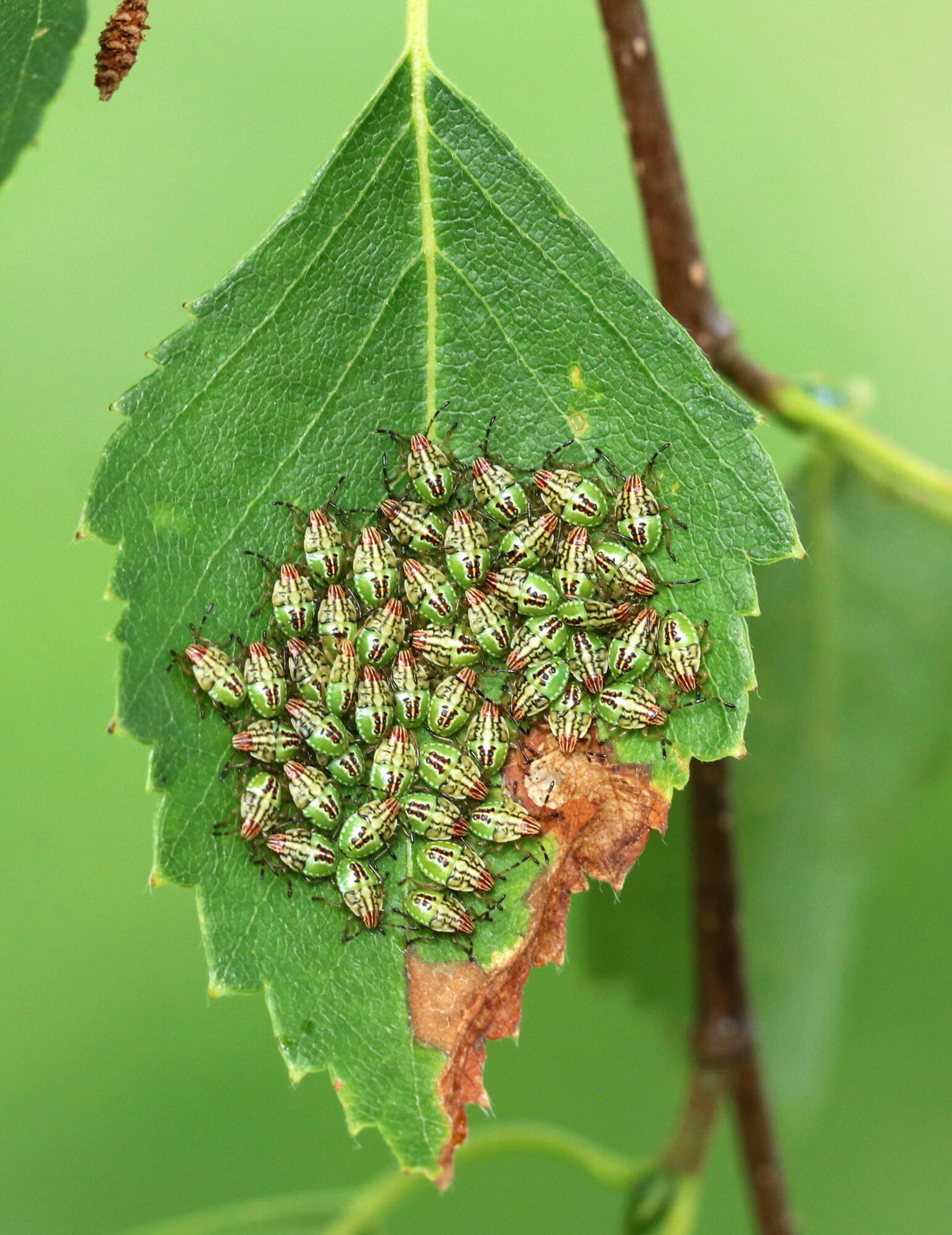 Valokuvaaja: Eija Soimola