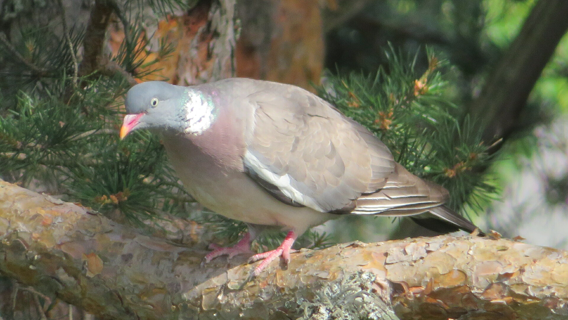 Valokuvaaja: Risto Kangassalo