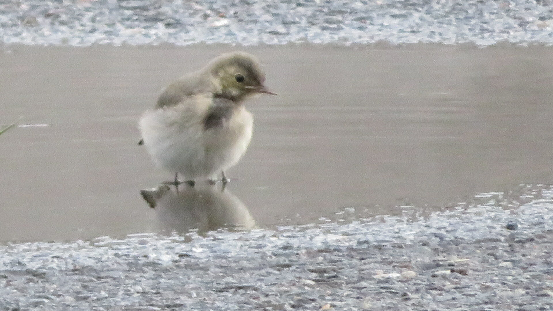 Valokuvaaja: Risto Kangassalo