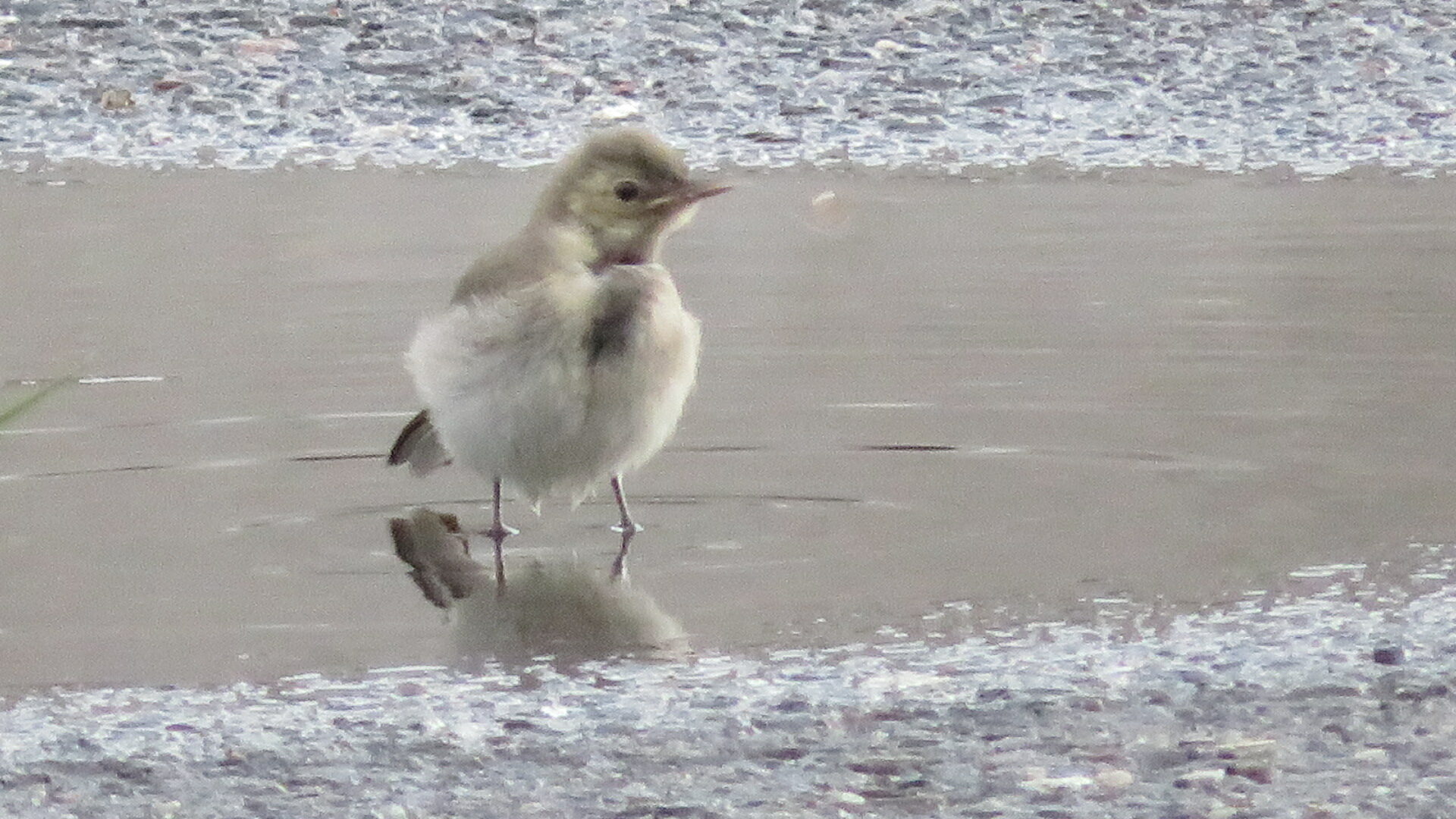 Valokuvaaja: Risto Kangassalo