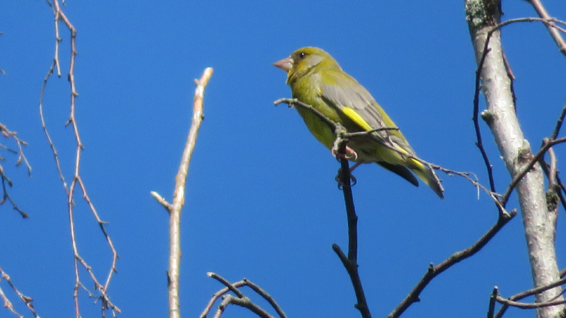 Valokuvaaja: Risto Kangassalo