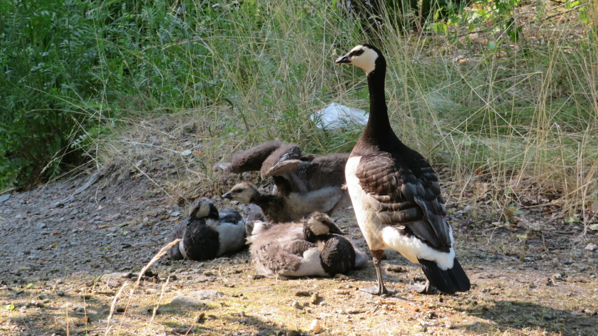 Valokuvaaja: Risto Kangassalo