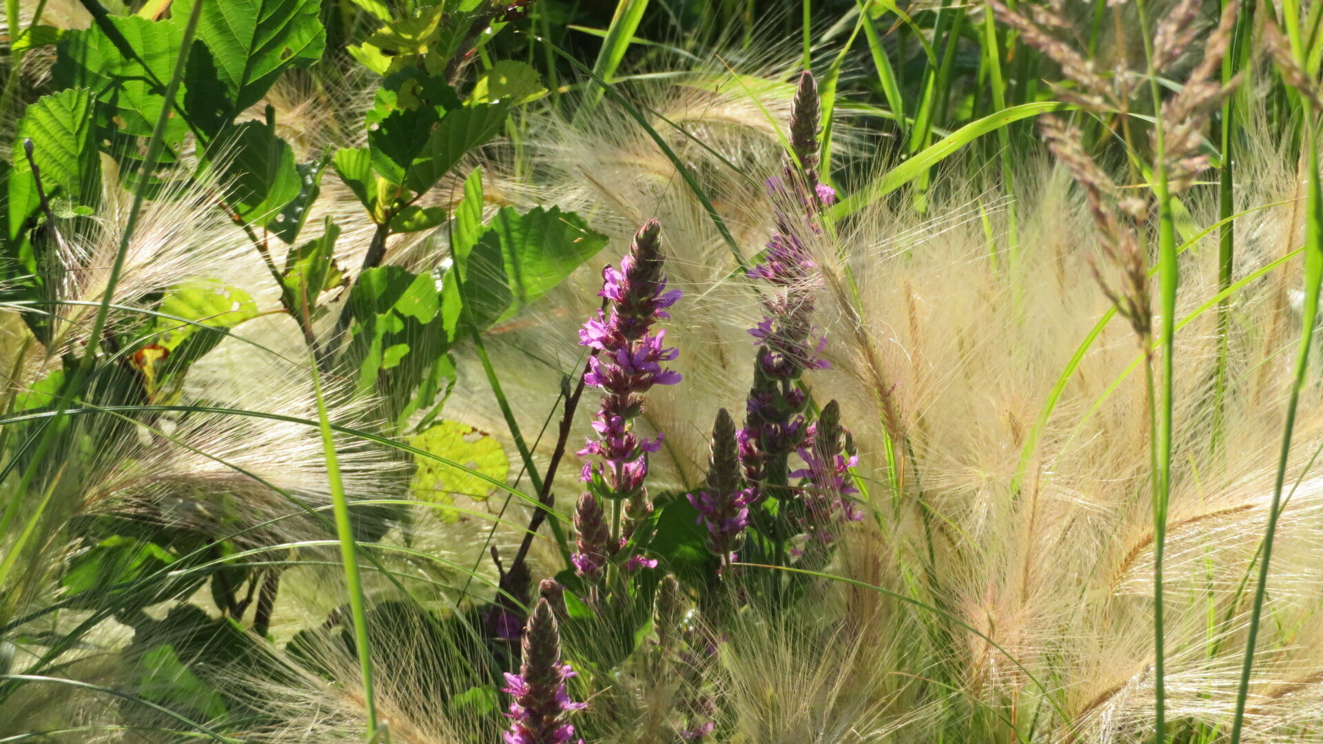 Valokuvaaja: Risto Kangassalo