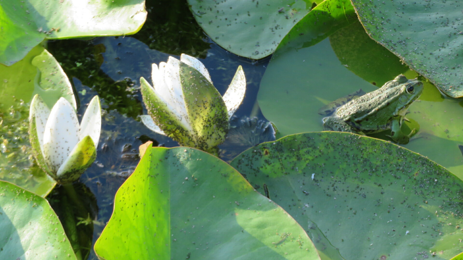 Valokuvaaja: Risto Kangassalo