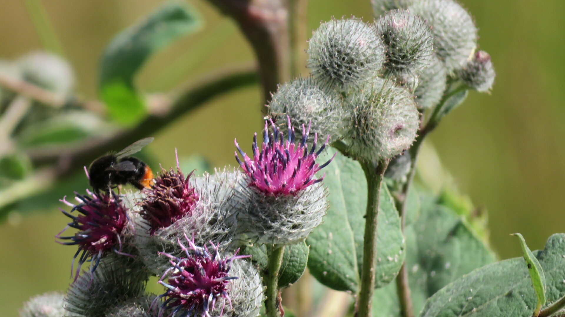 Valokuvaaja: Risto Kangassalo