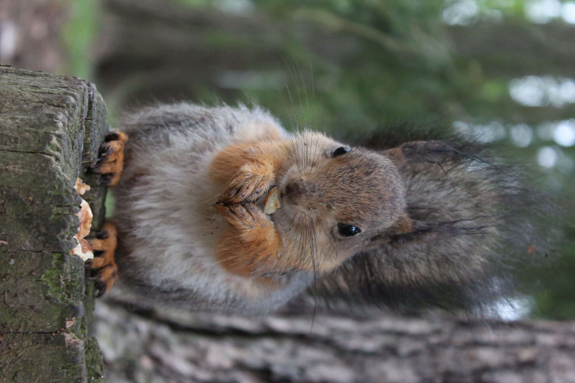 Valokuvaaja: Niina Hakanen