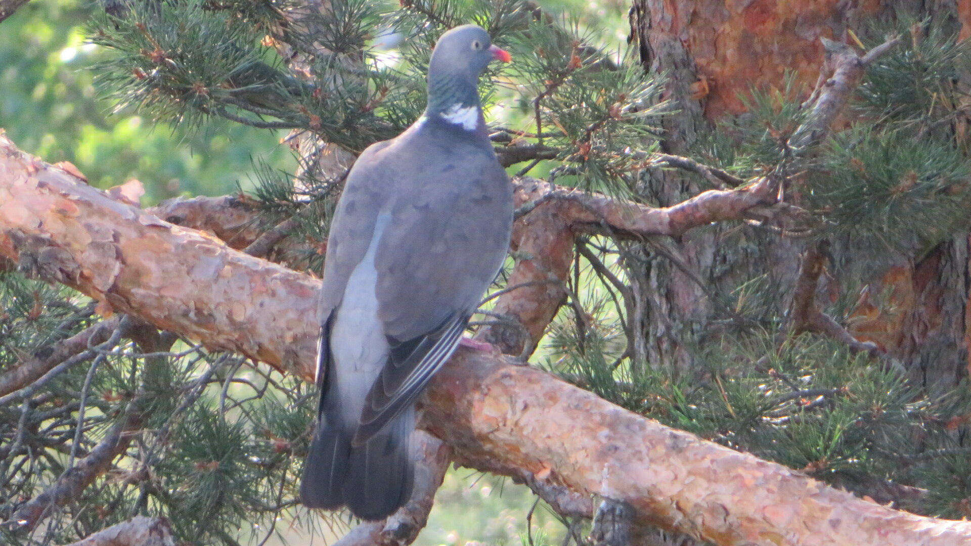 Valokuvaaja: Risto Kangassalo