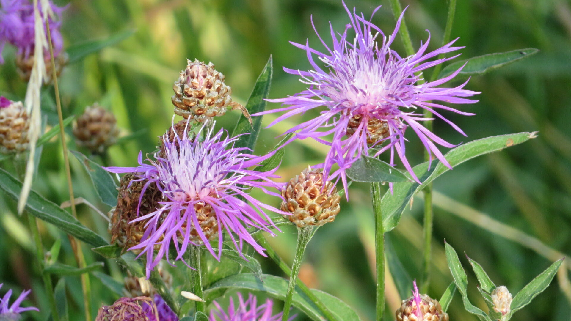 Valokuvaaja: Risto Kangassalo