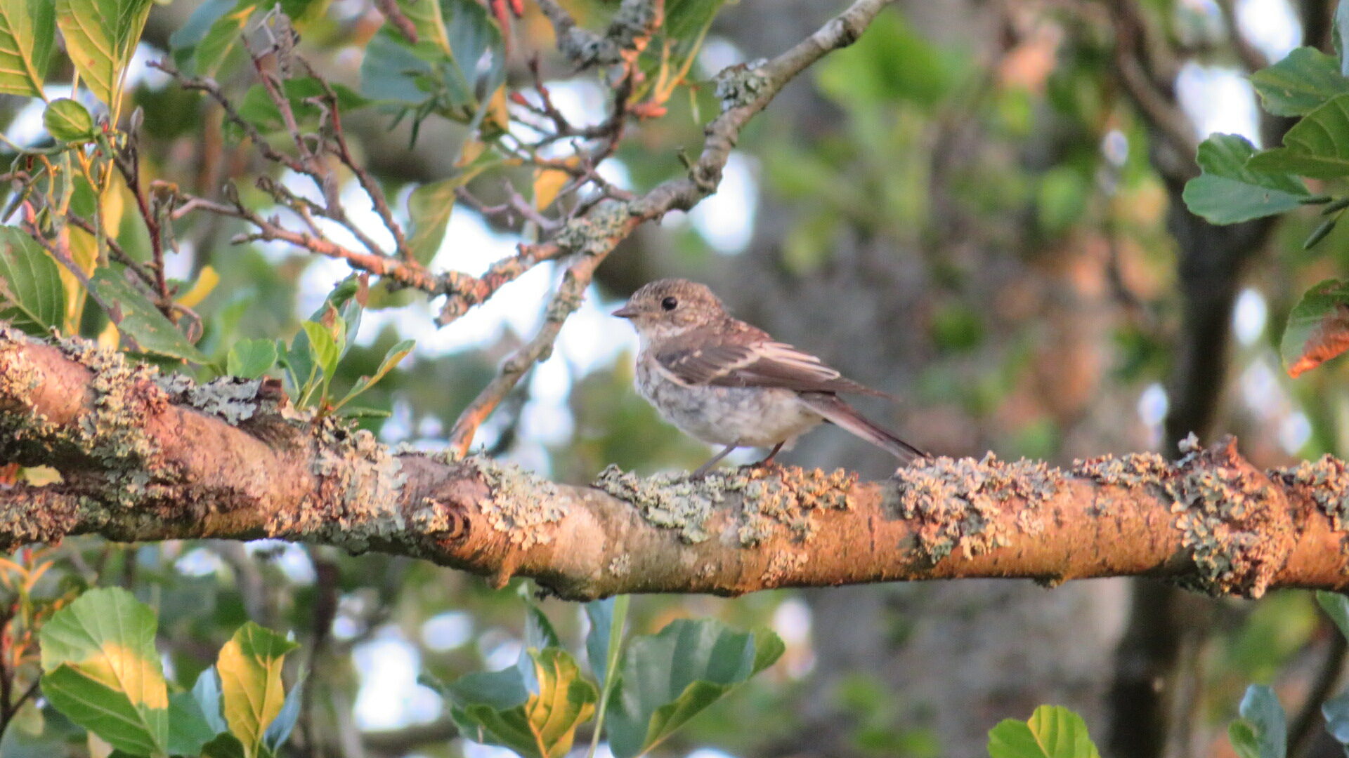 Valokuvaaja: Risto Kangassalo