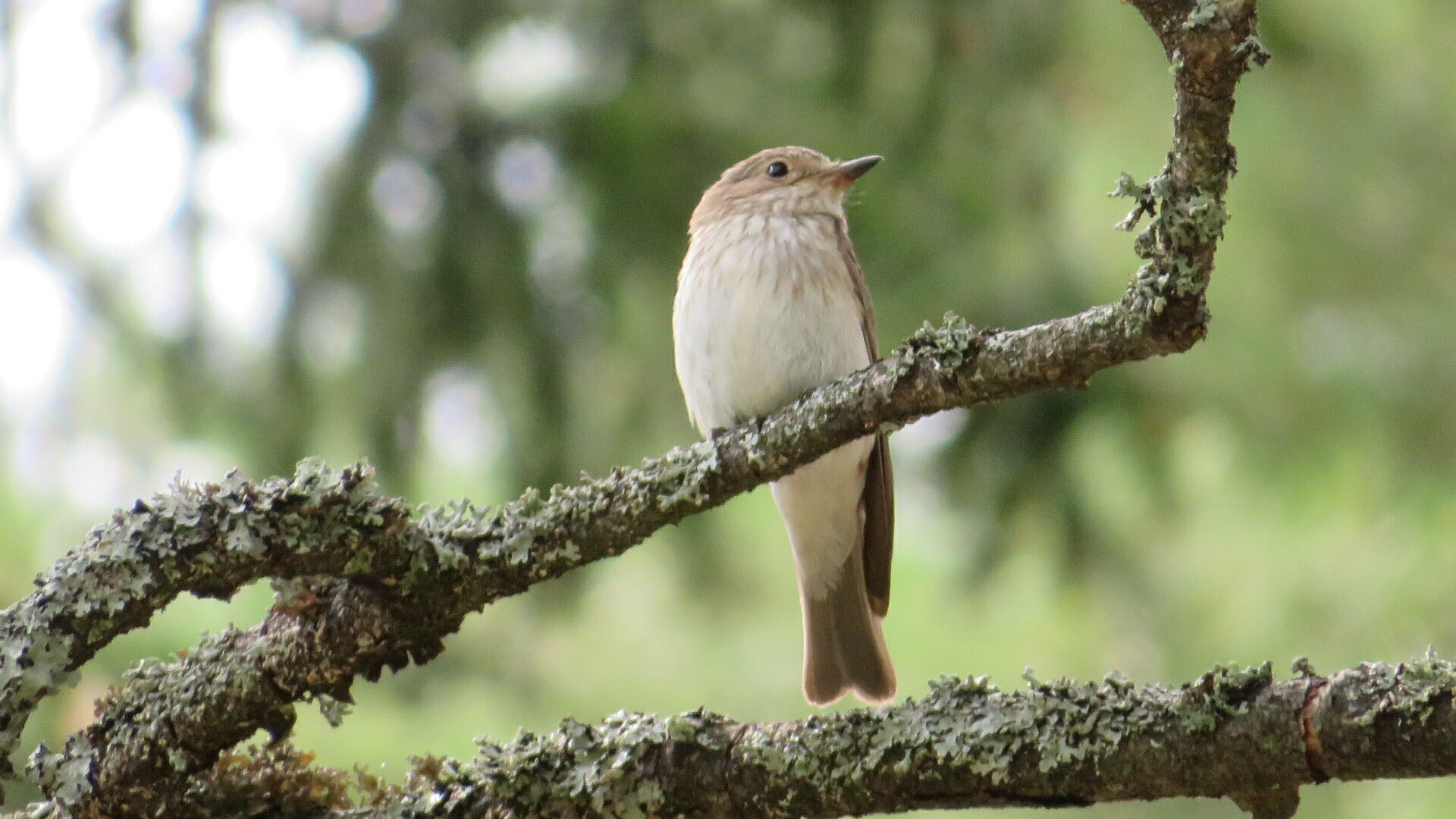 Valokuvaaja: Risto Kangassalo Valokuvaaja: Risto Kangassalo