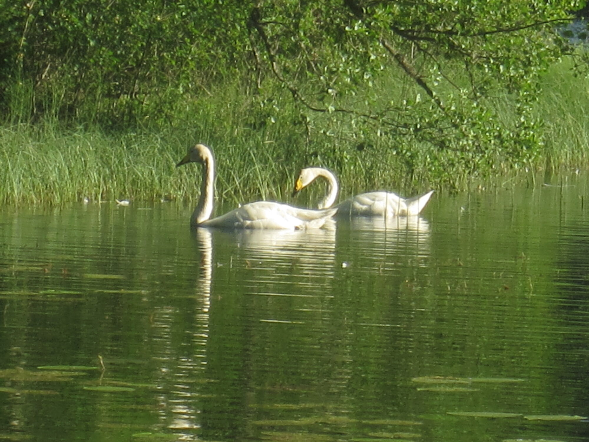 Valokuvaaja: Marita Portin