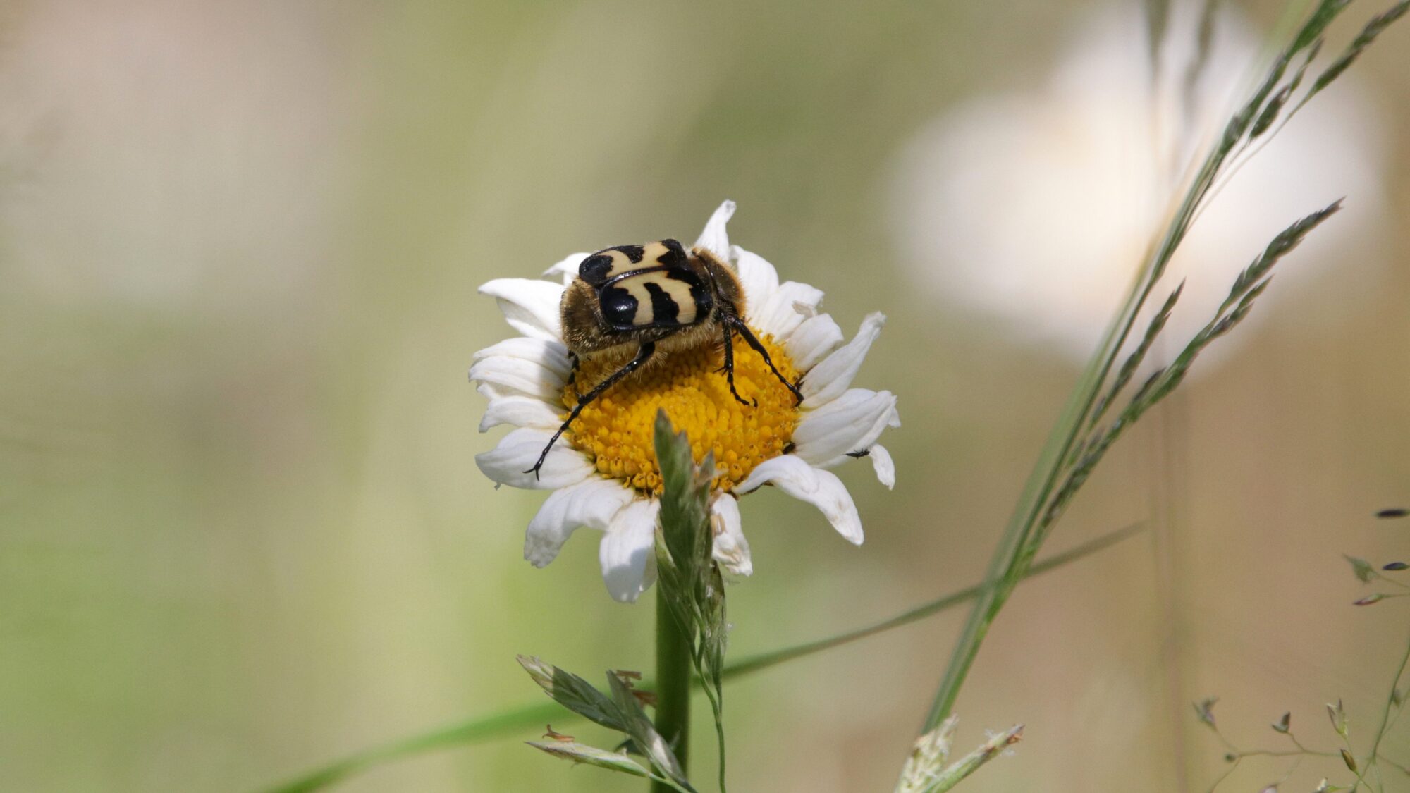 Valokuvaaja: Tommi Kujala