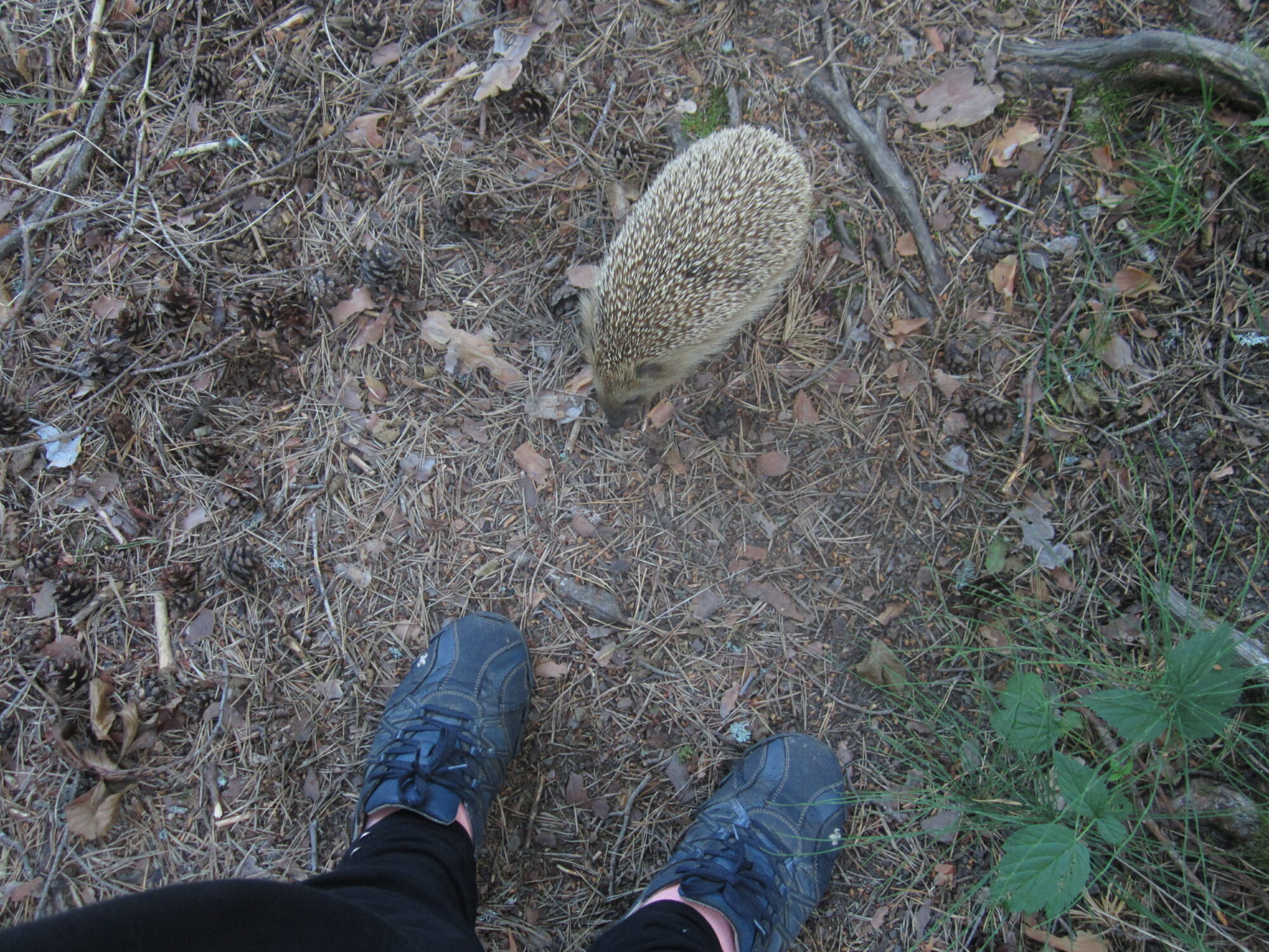 Valokuvaaja: Marita Portin