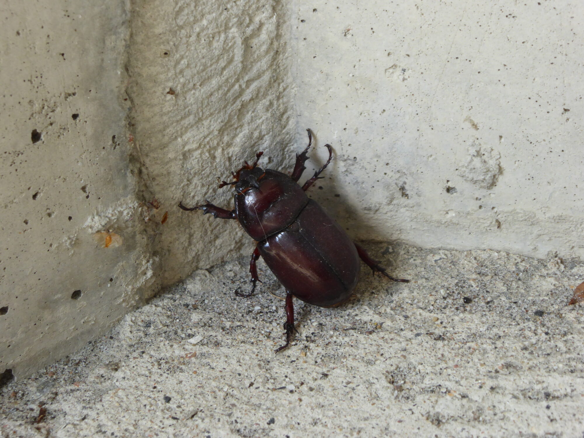 Valokuvaaja: Toni Asikainen