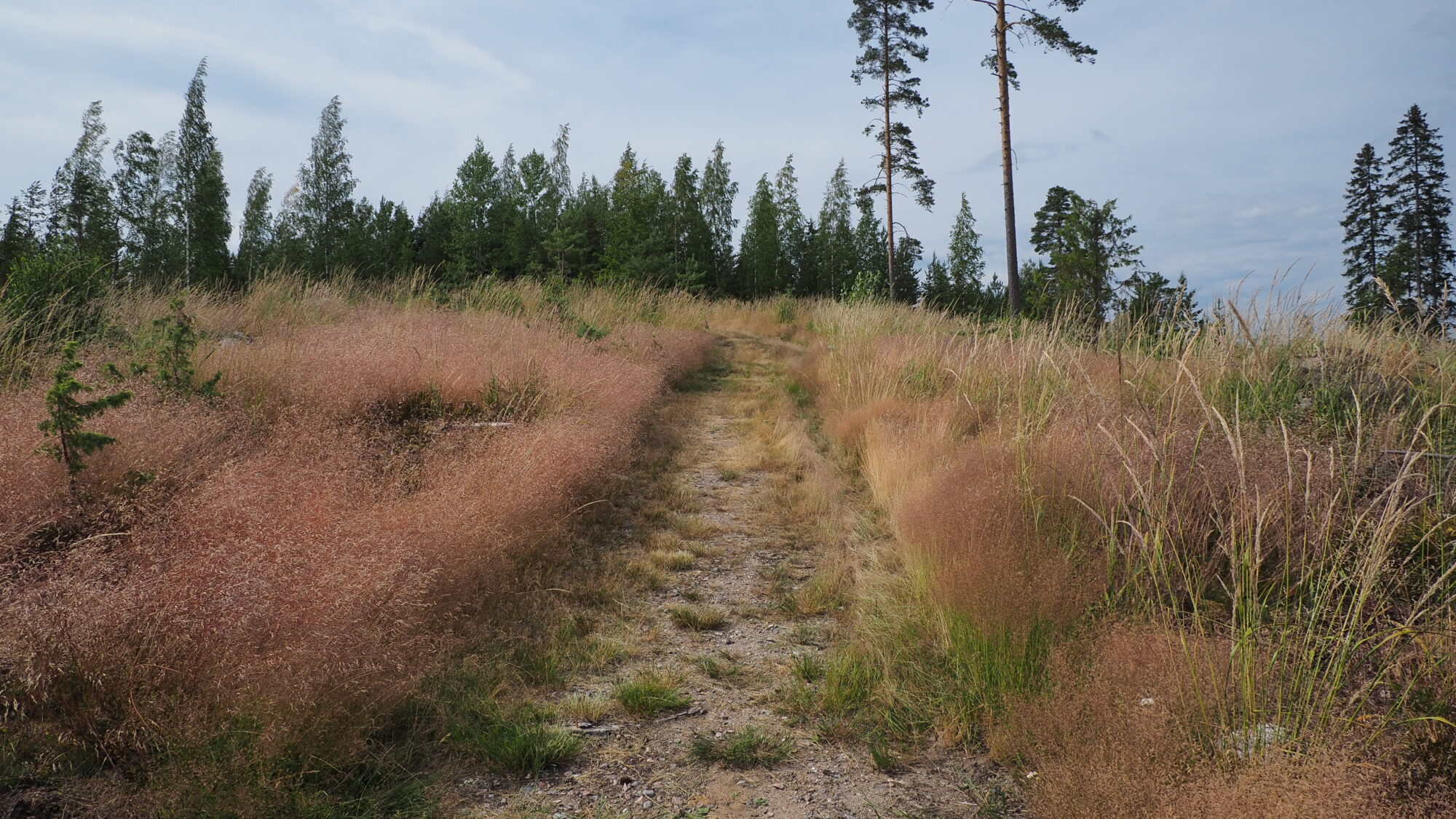 Valokuvaaja: Martti Valtonen