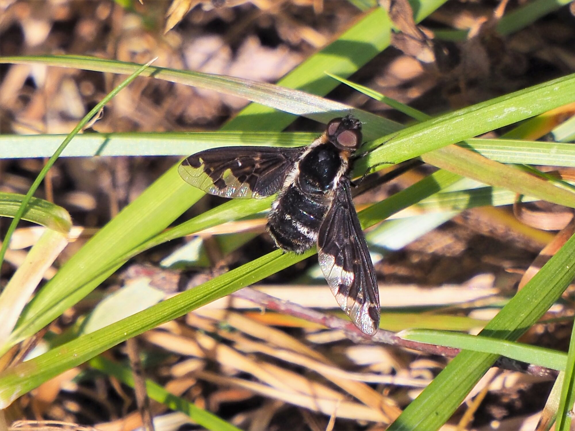 Valokuvaaja: Martti Valtonen