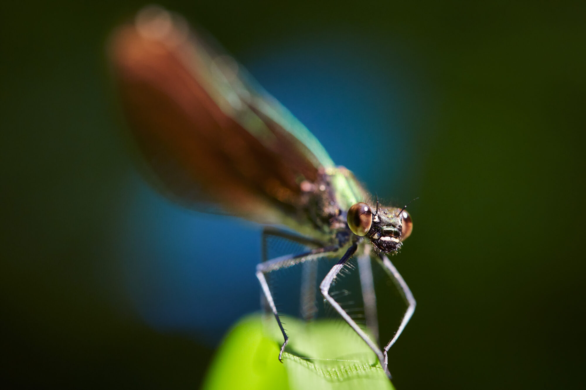 Valokuvaaja: Ville Kiiveri