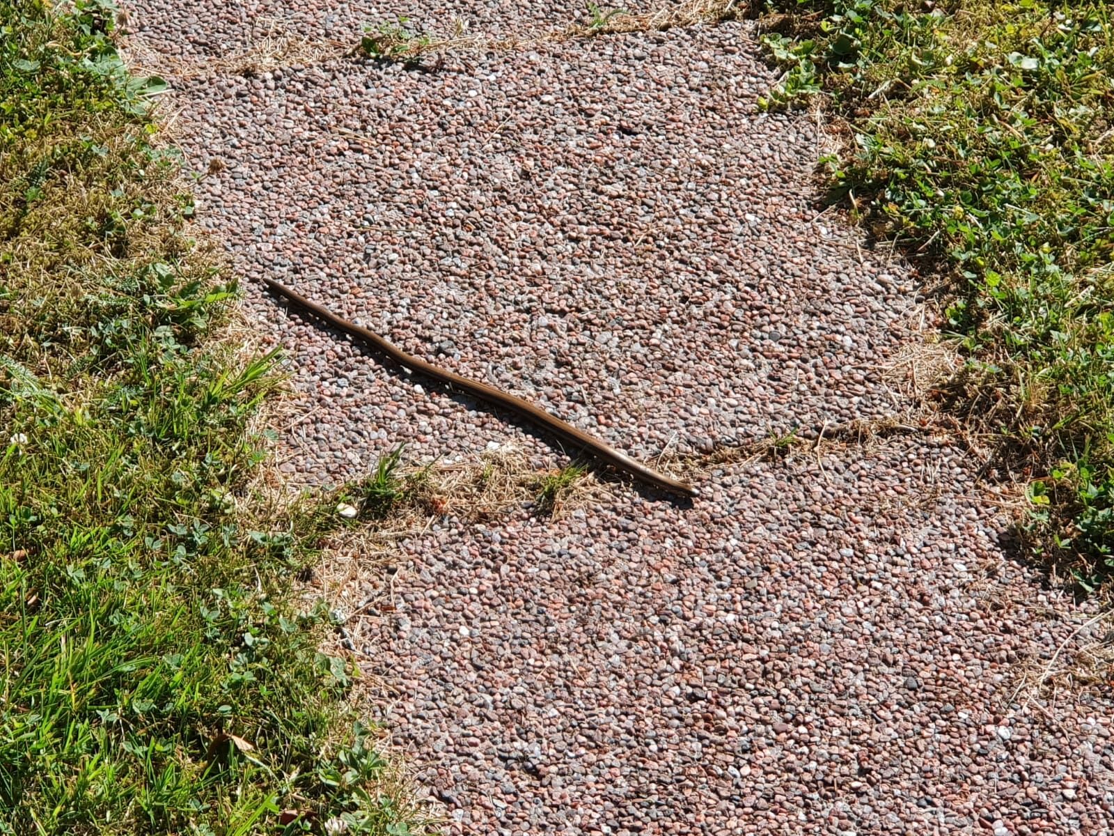 Valokuvaaja: Marjut Eriksson