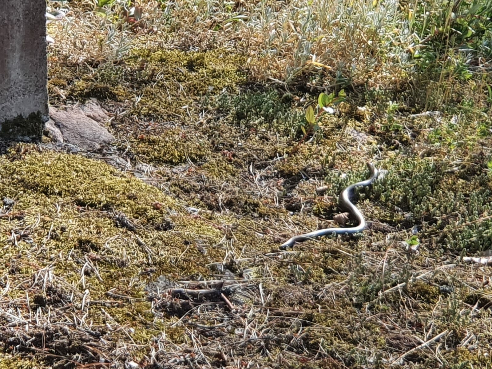 Valokuvaaja: Marjut Eriksson