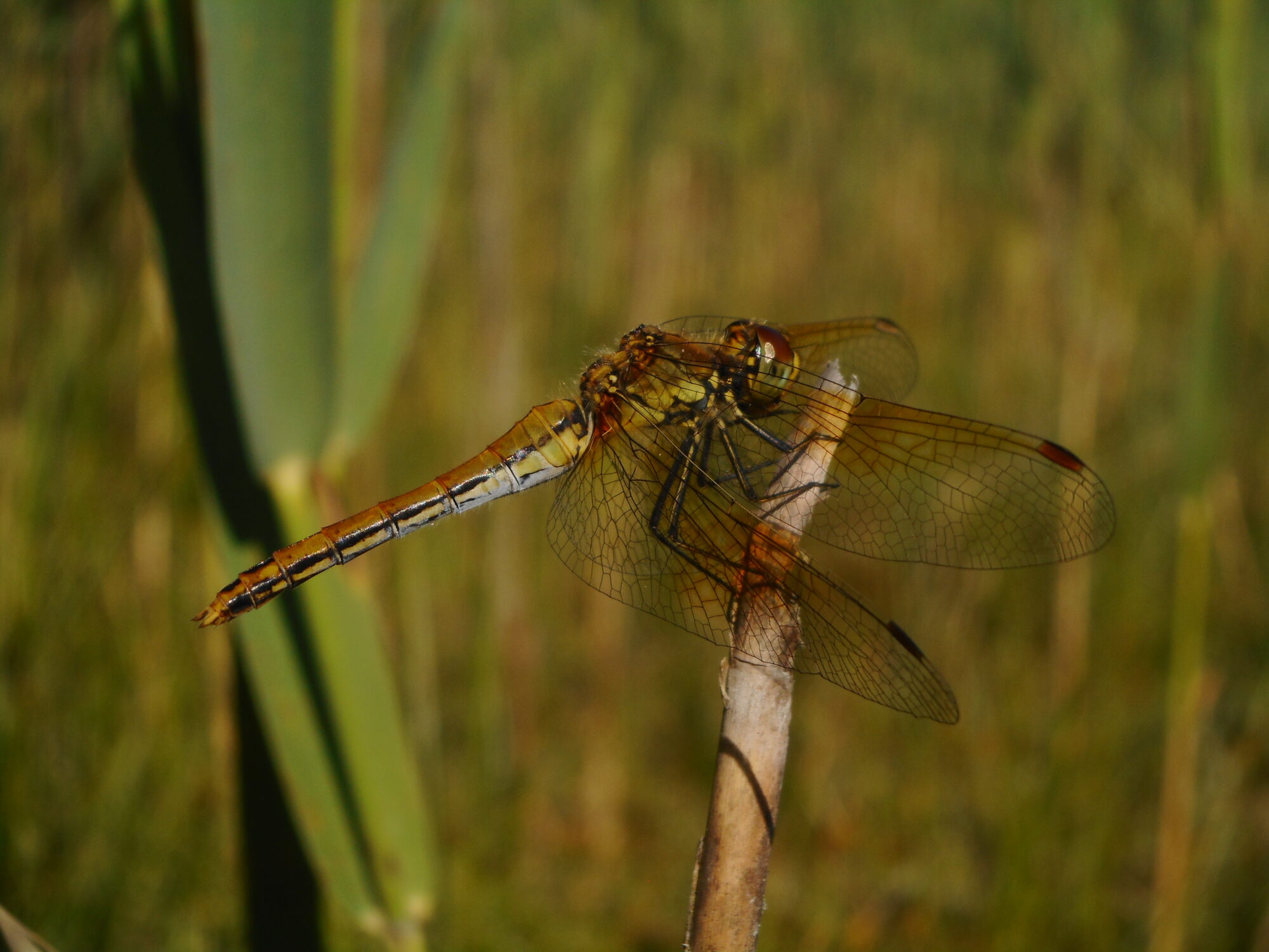 Valokuvaaja: Kalle Selin