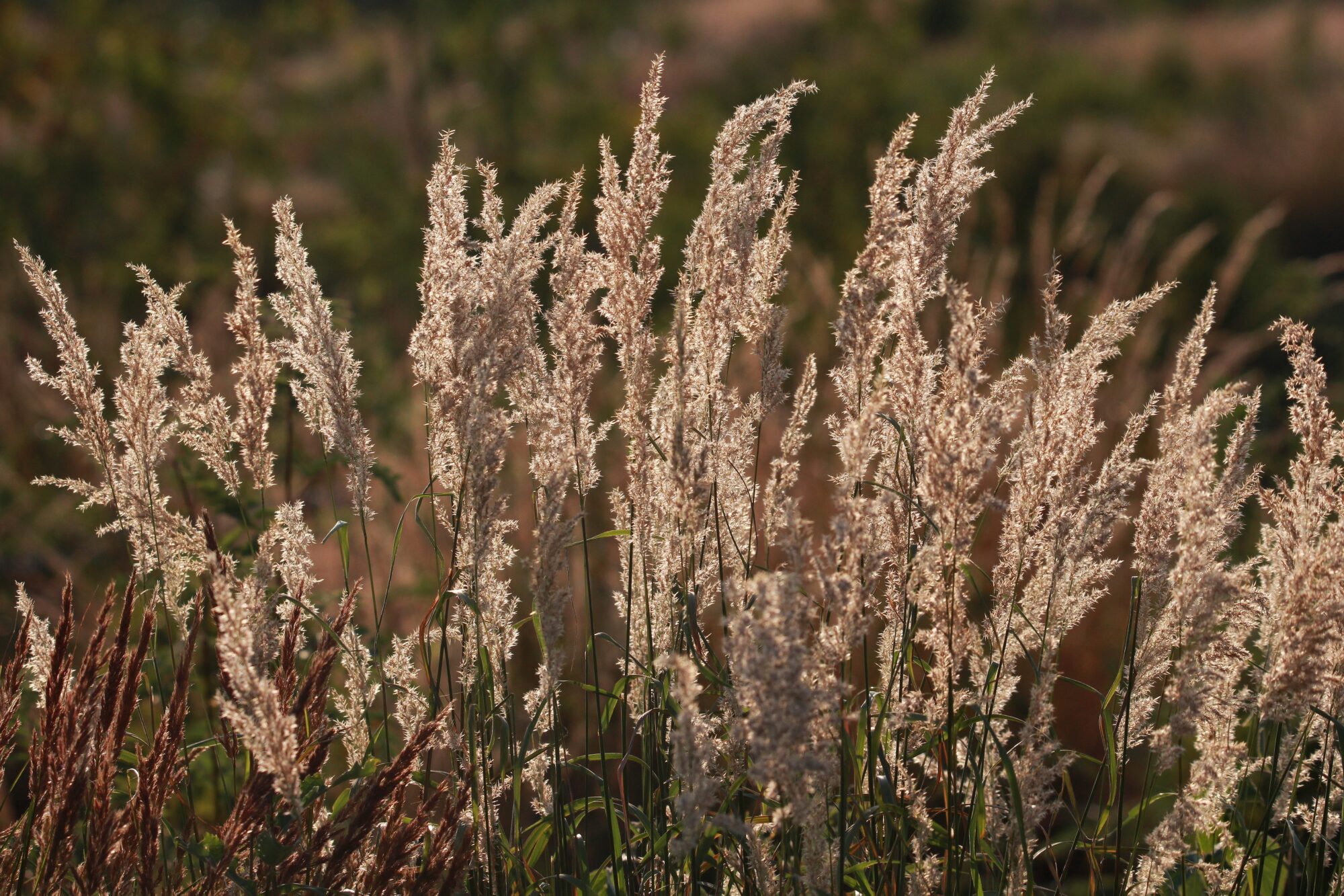 Valokuvaaja: Jaana Saarelainen