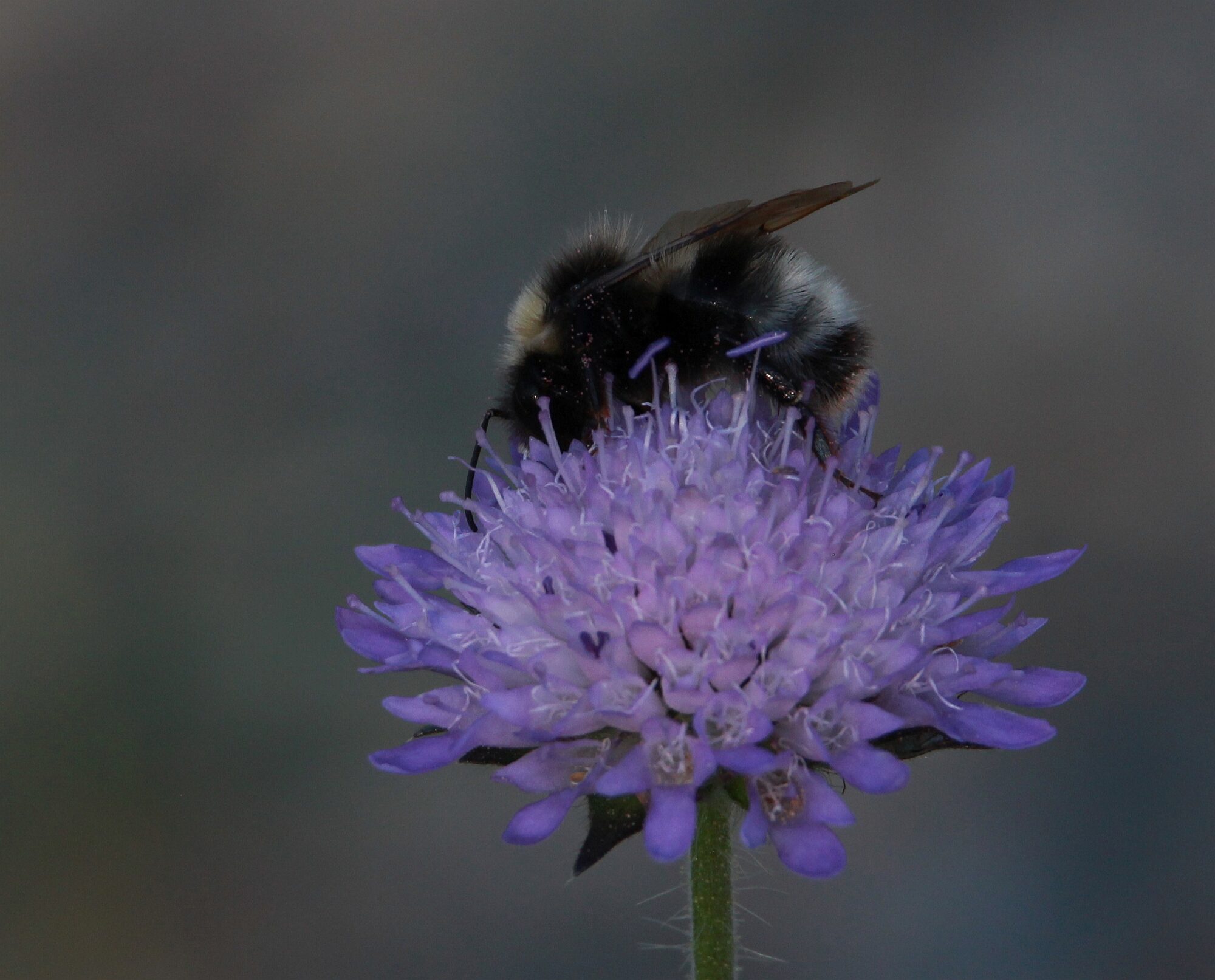 Valokuvaaja: Jaana Saarelainen