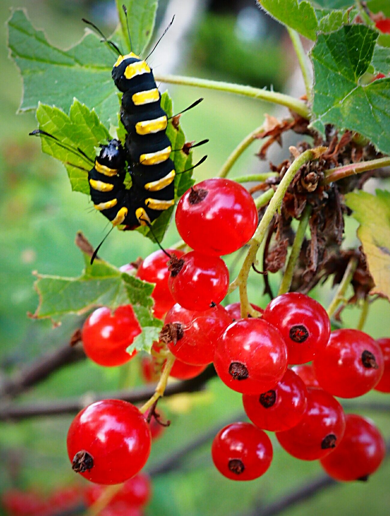 Valokuvaaja: Arto Jalonen