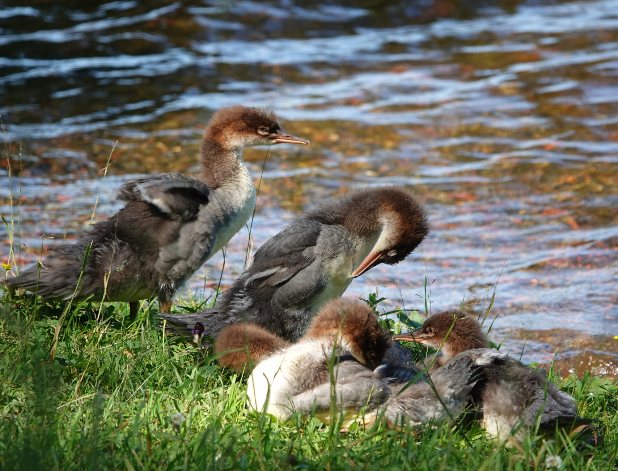 Valokuvaaja: Eero Peltonen