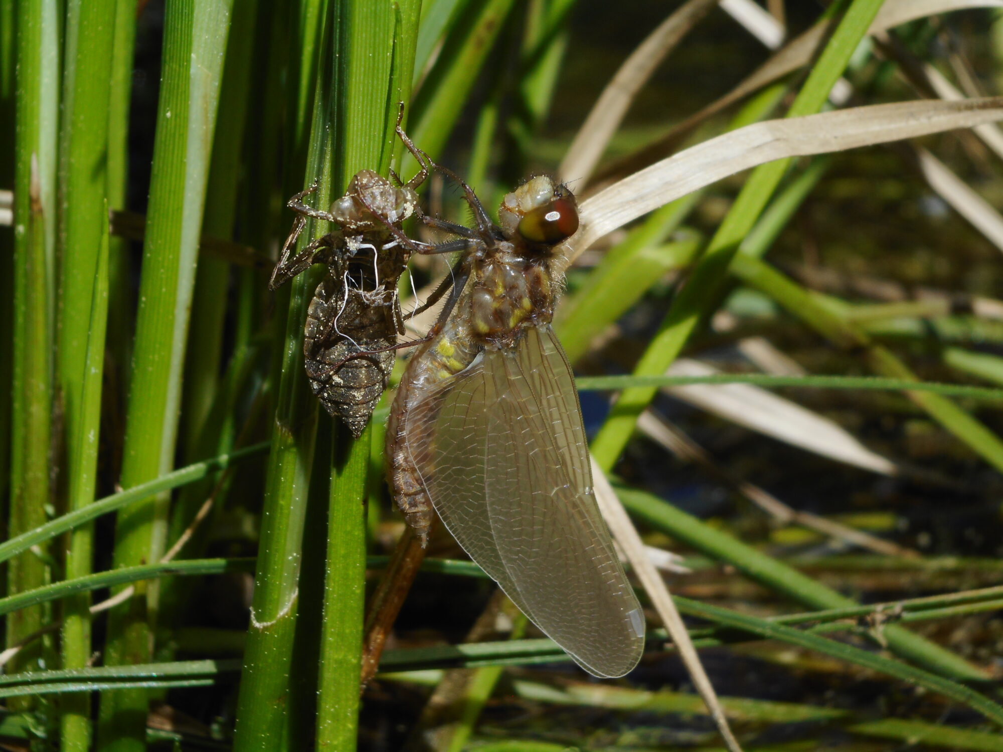 Valokuvaaja: Kalle Selin