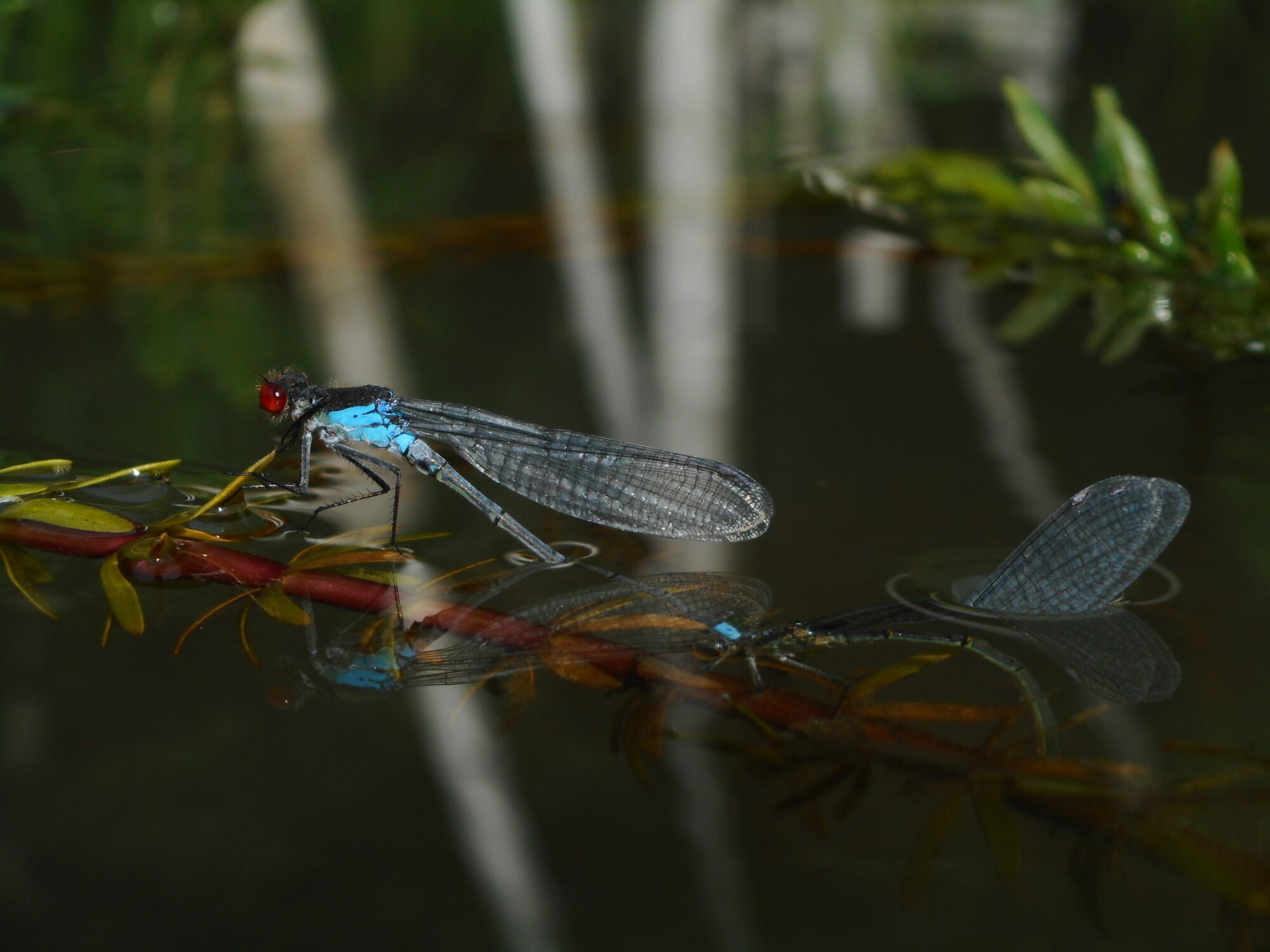 Valokuvaaja: Kalle Selin