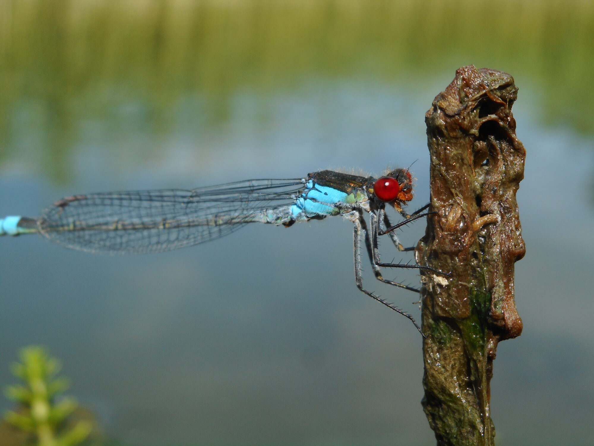 Valokuvaaja: Kalle Selin Valokuvaaja: Kalle Selin