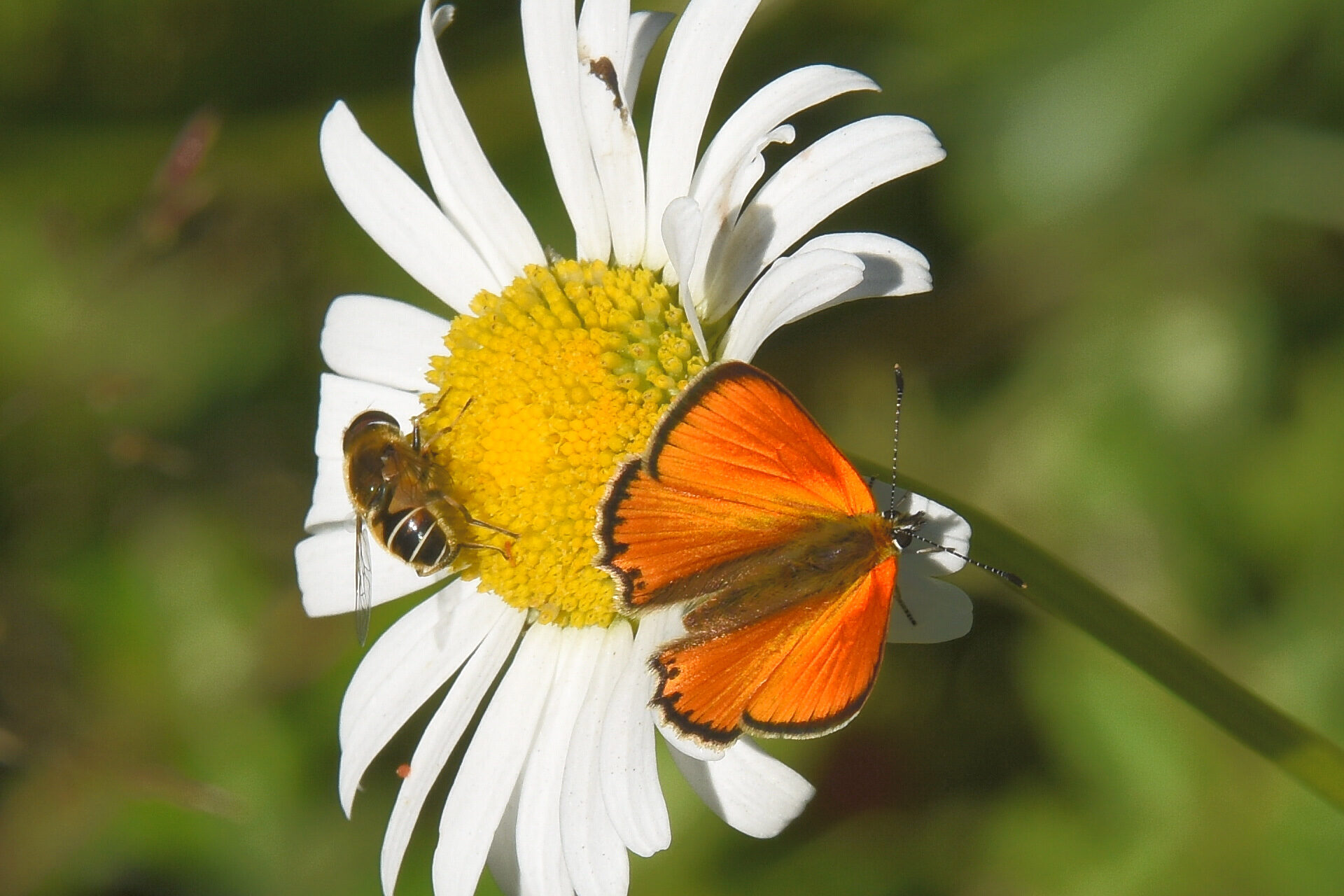 Valokuvaaja: Antti Kaskinen
