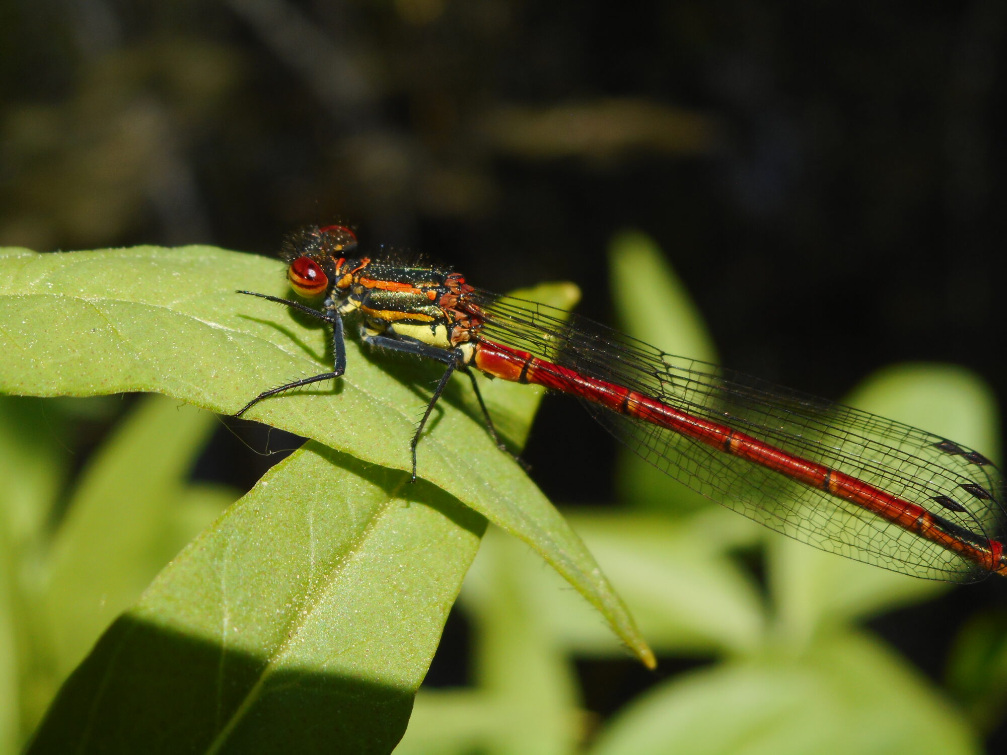 Valokuvaaja: Kalle Selin