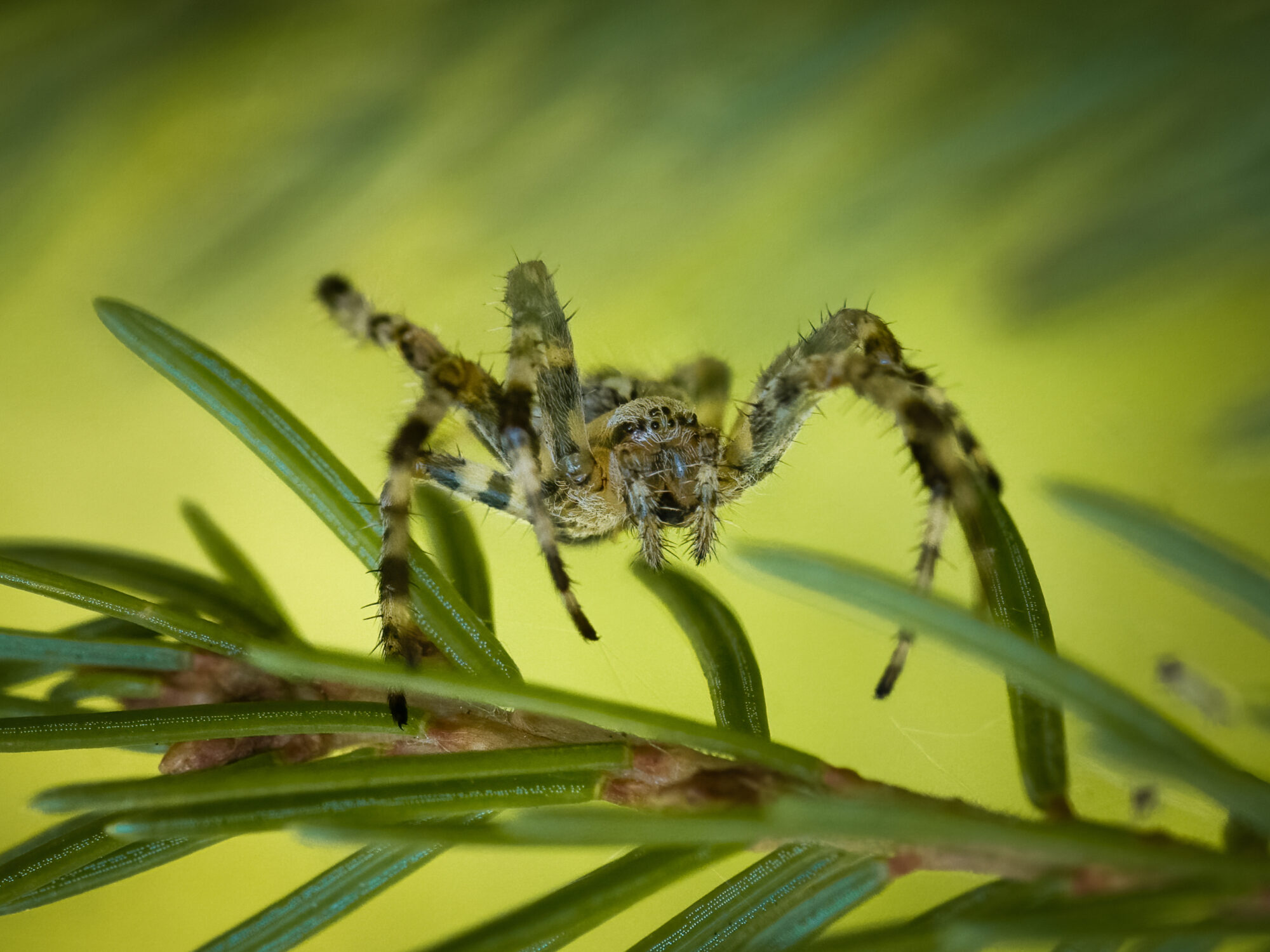 Valokuvaaja: Risto Lavi