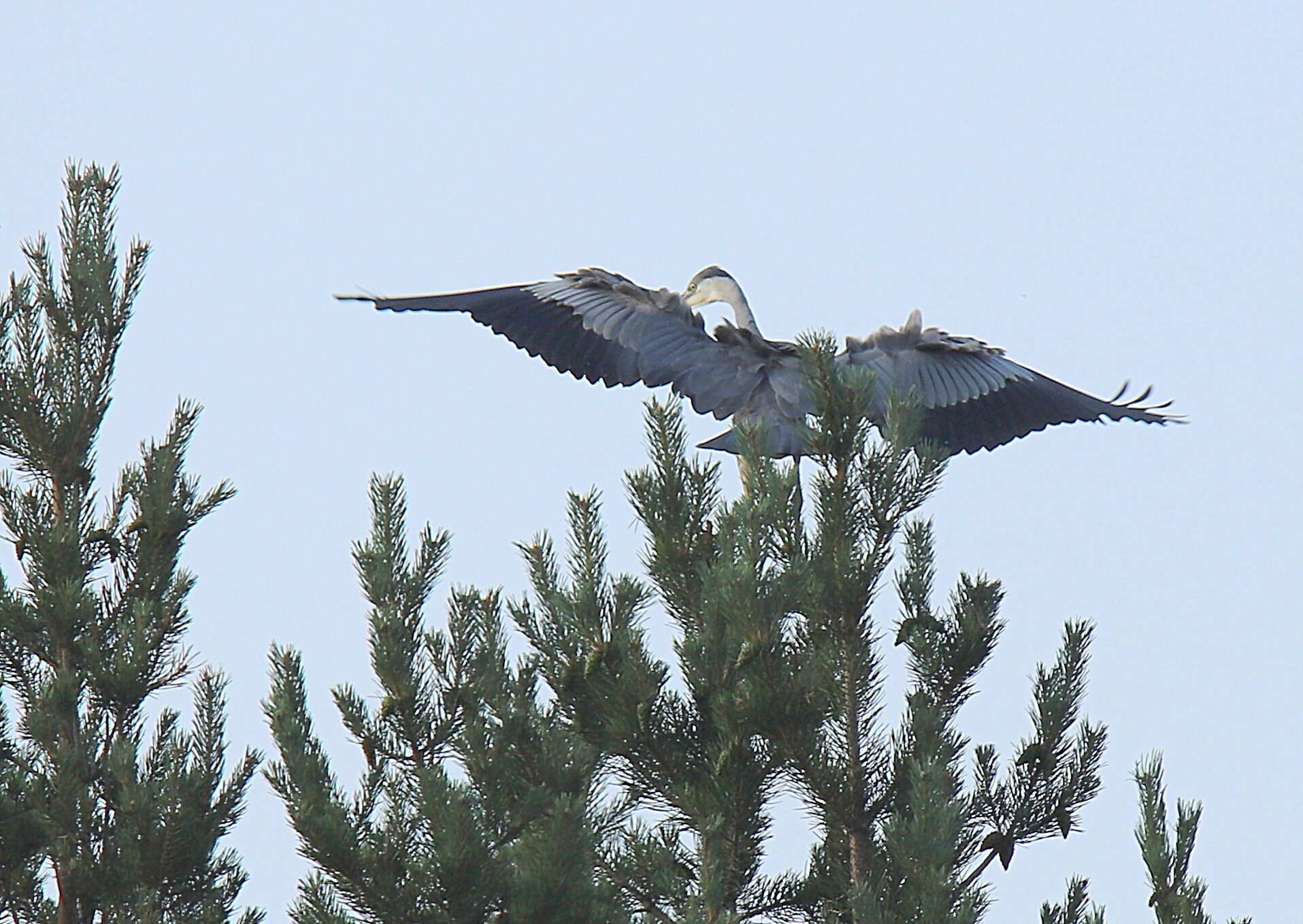 Valokuvaaja: sirpa jyske