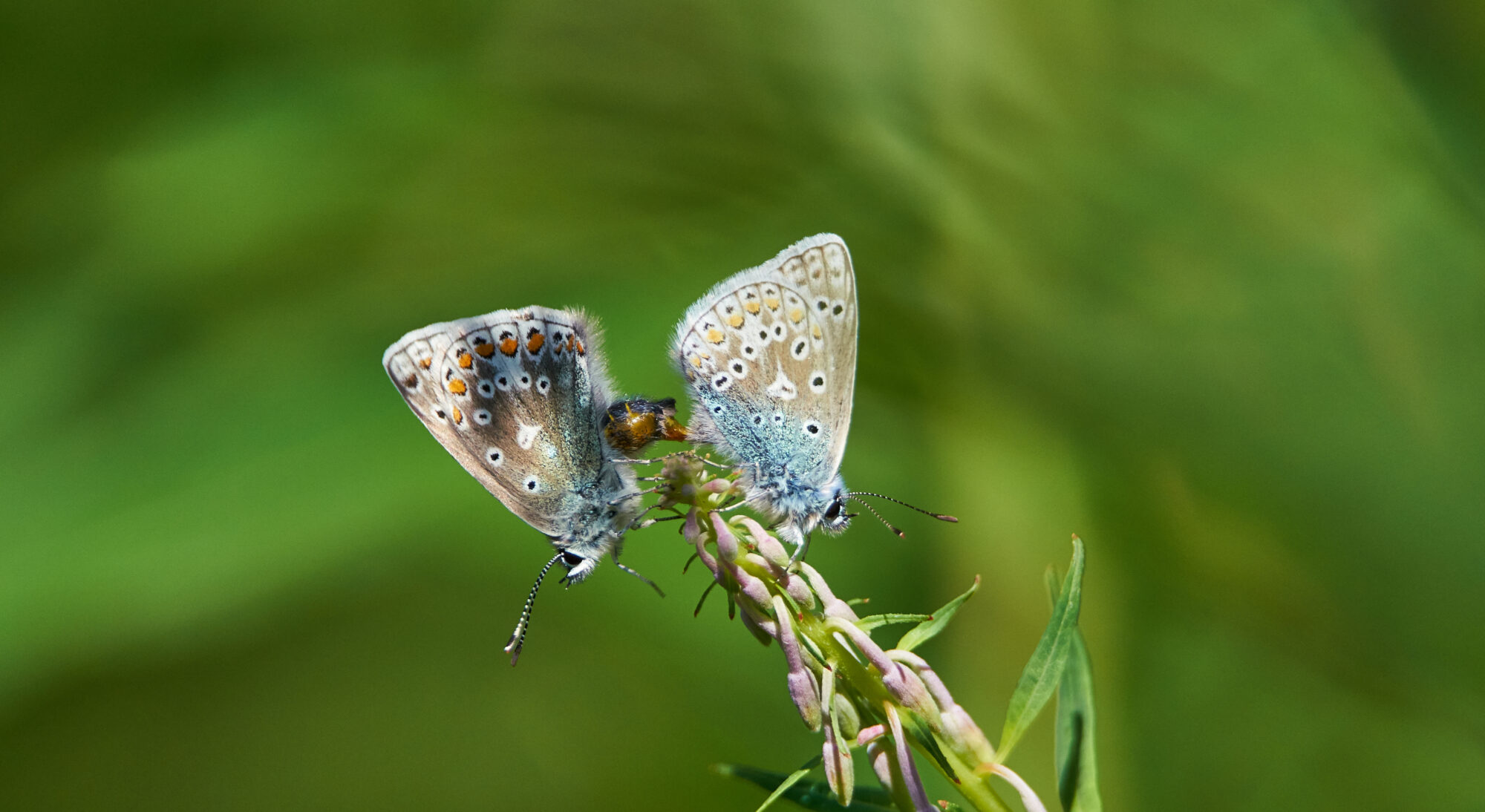 Valokuvaaja: Tarja Kouvo
