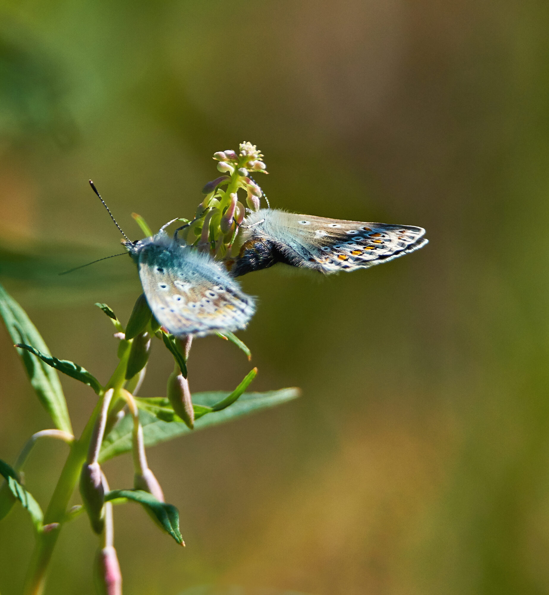 Valokuvaaja: Tarja Kouvo