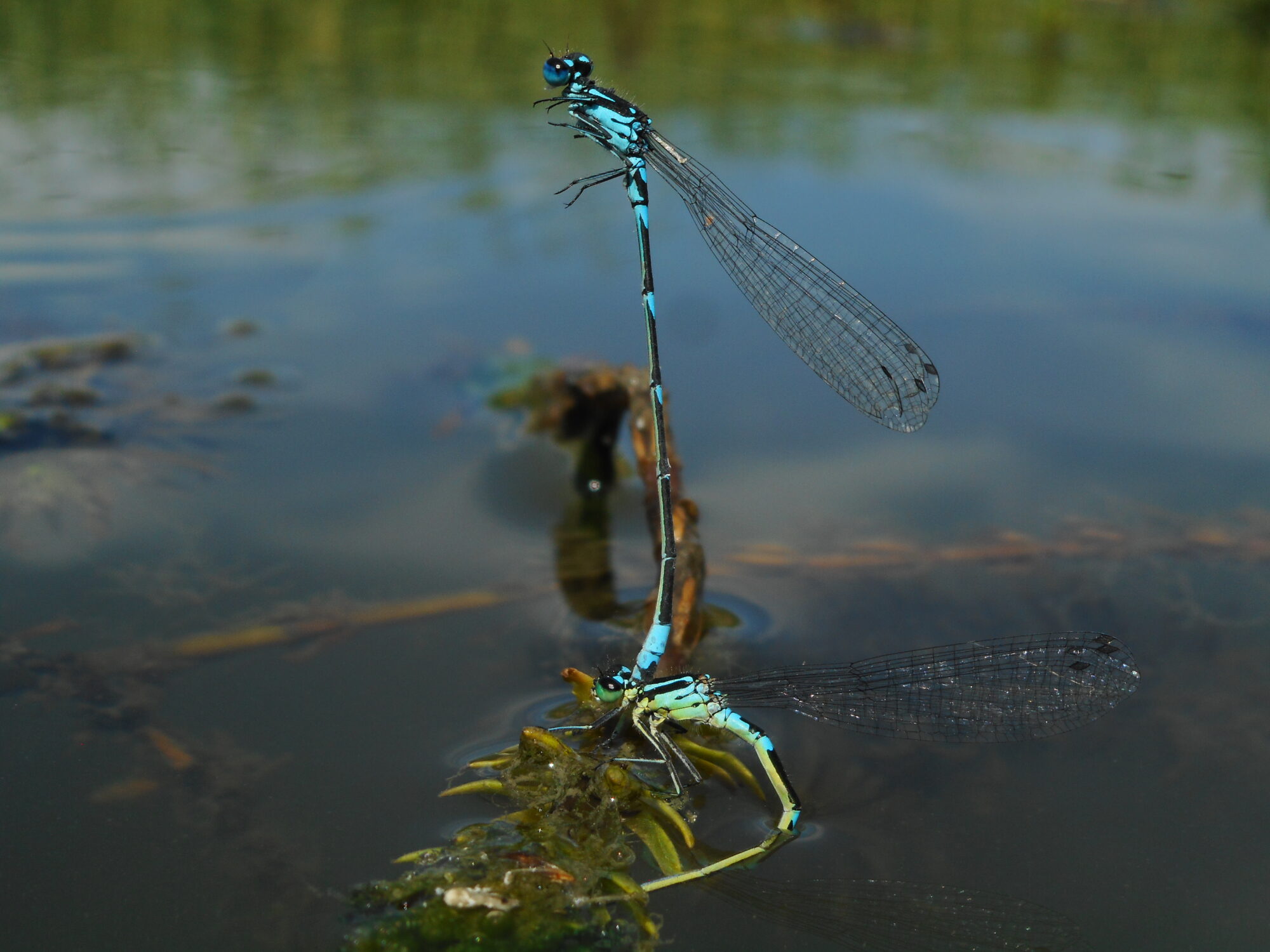 Valokuvaaja: Kalle Selin