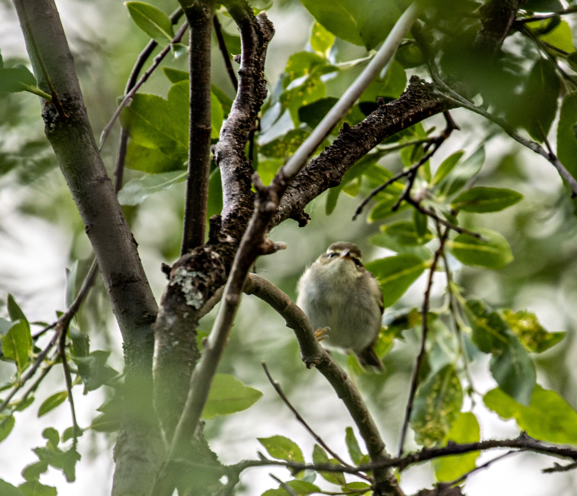 Valokuvaaja: Katri Niskanen