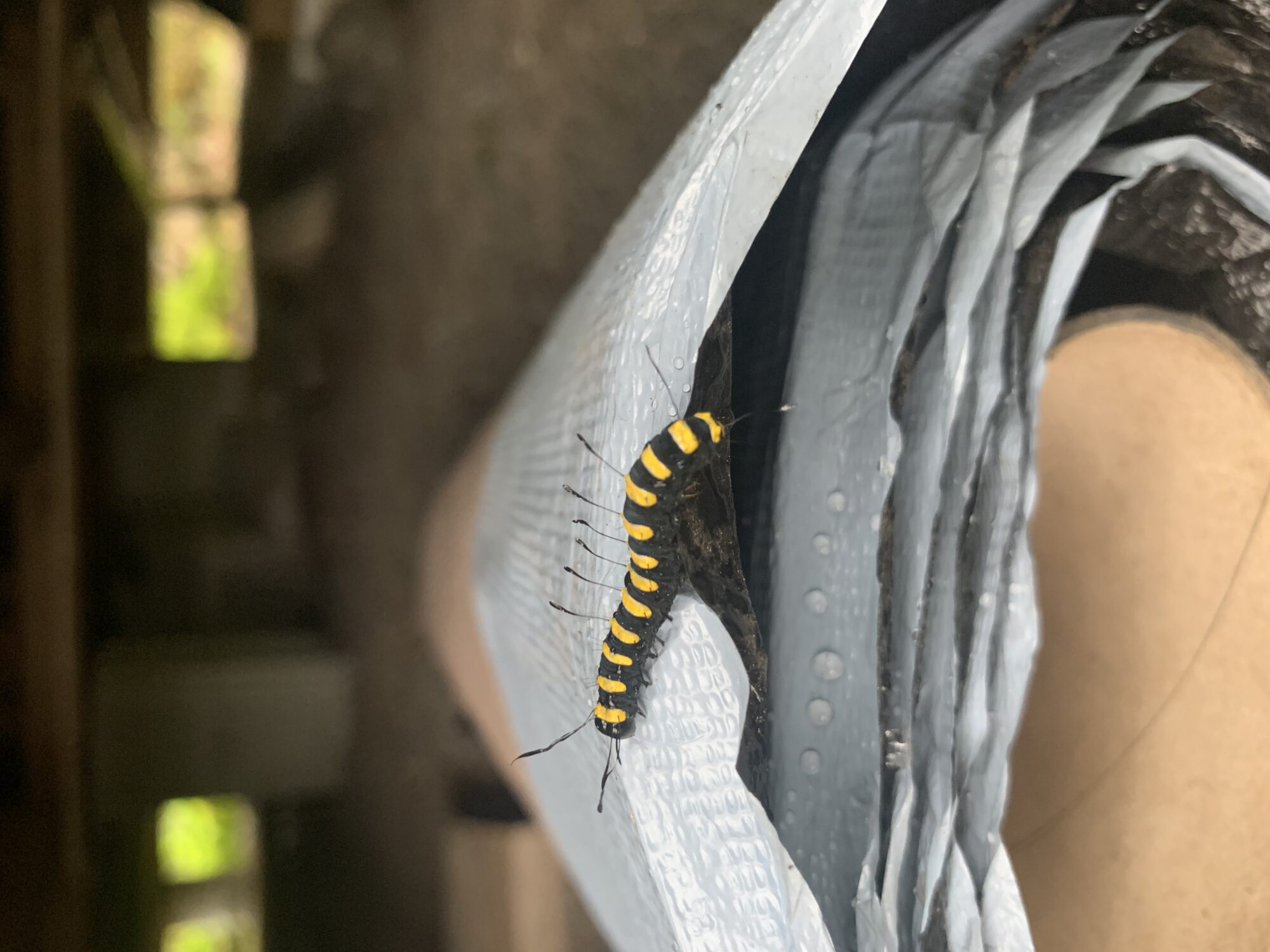 Valokuvaaja: Johanna Lamberg